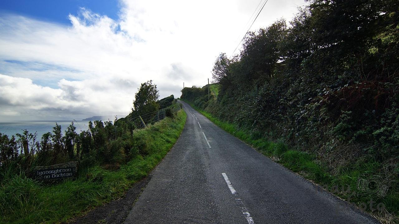 Narrow paved road with a dashed center line curving uphill along a coastal hillside, dense bushes and trees on the right, grass verge and fence on the left overlooking water, under a cloudy sky with power lines overhead.
