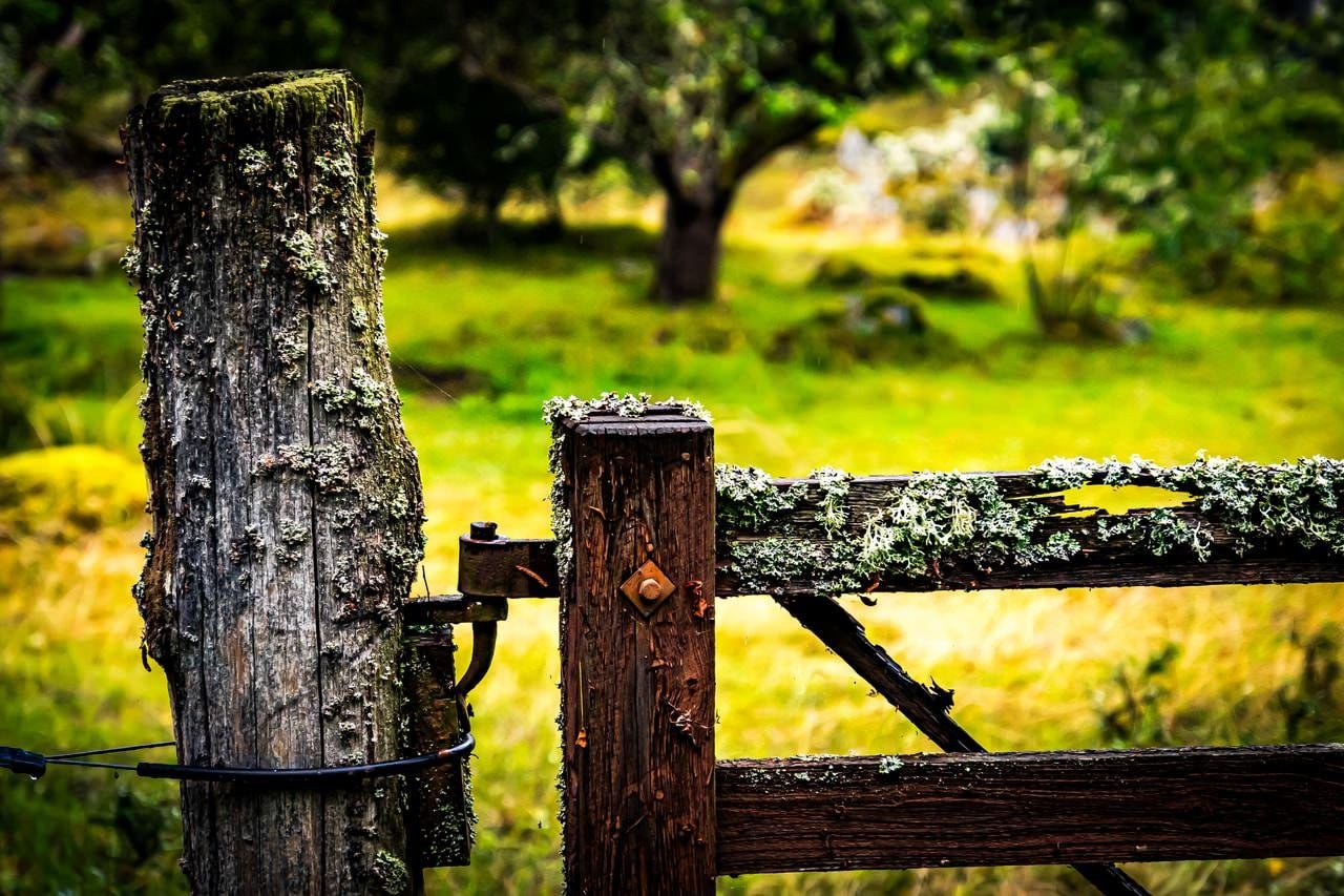Weathered wooden fence post and railing covered with patches of moss and lichen. The background features a blurred view of a lush green field with trees. A black wire is looped around the post, adding contrast to the earthy textures.