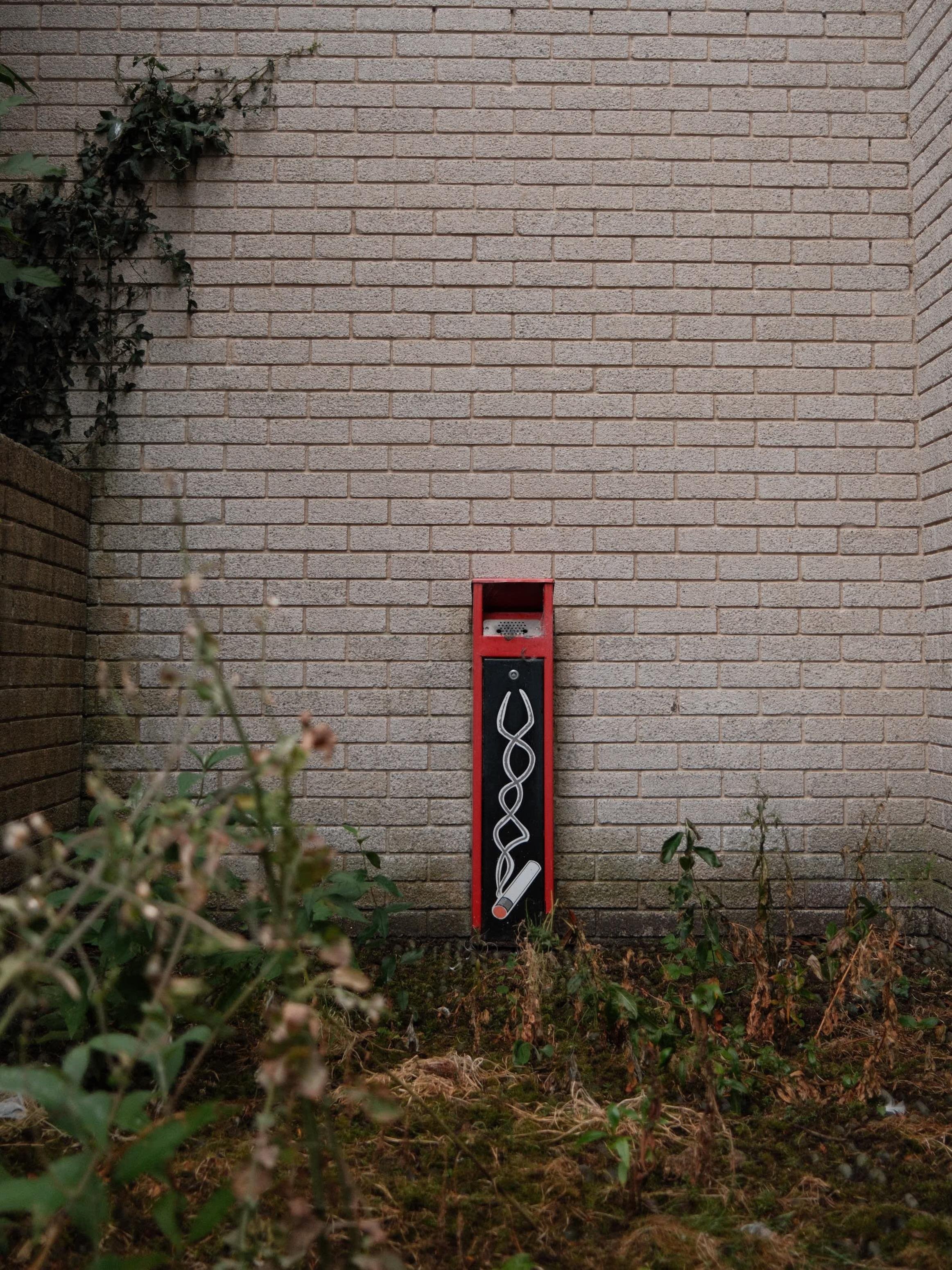 Red wall-mounted cigarette butt receptacle with a black front panel and white cigarette graphic, centered on a light brick wall; weeds and overgrown plants fill the foreground and ivy climbs the left corner.