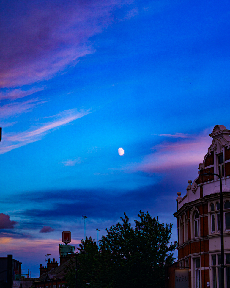 header profile