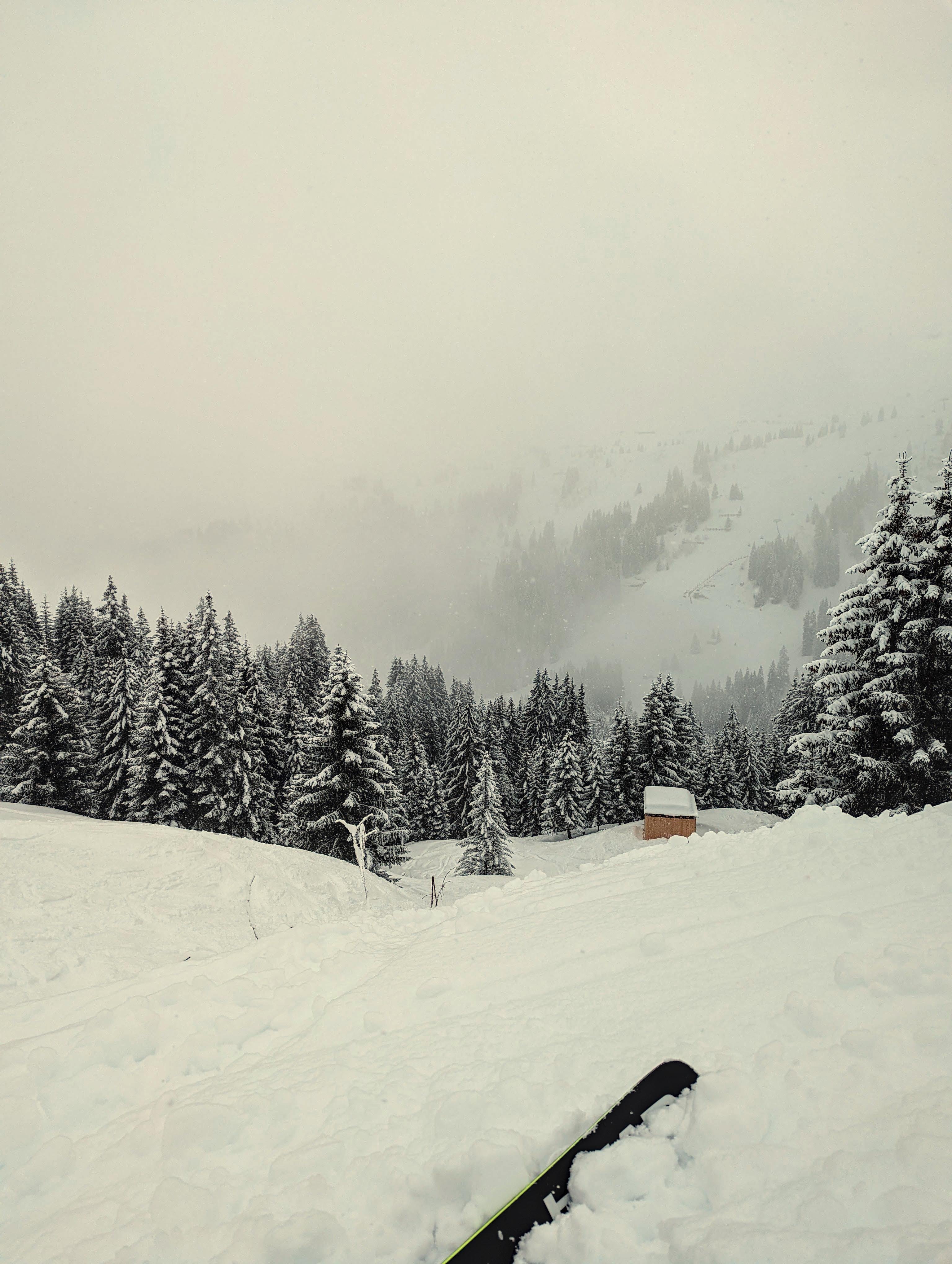 Snow-covered hillside with a partially buried ski tip in the bottom right, a small hut near the treeline, and dense evergreen forest below fading into foggy, snow-filled mountains in the background.