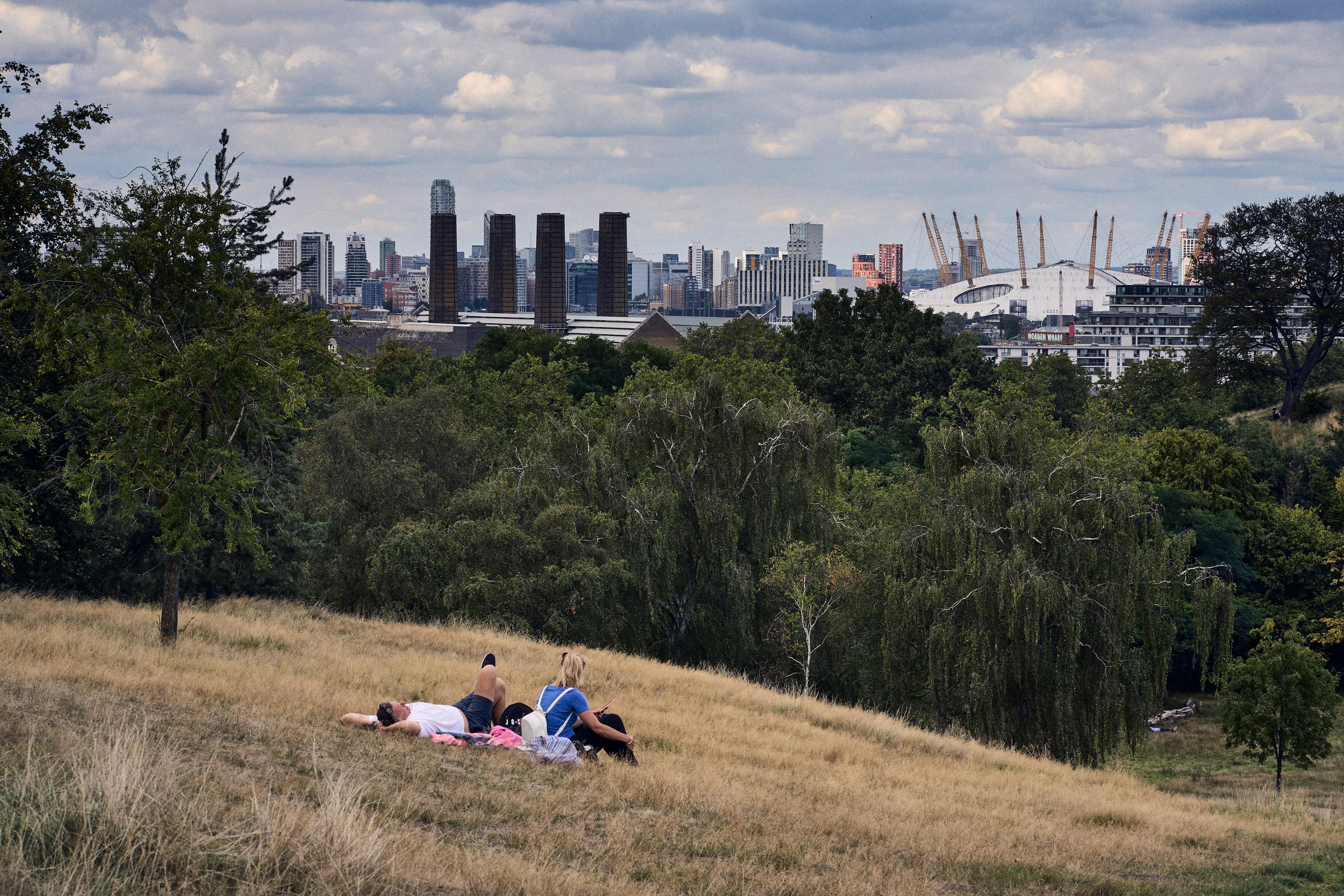 This image shows a grassy hillside with a few people relaxing and lying down. In the background, there is a city skyline with tall buildings and a large dome-like structure visible through the trees. The scene appears to be a mix of nature and urban elements.