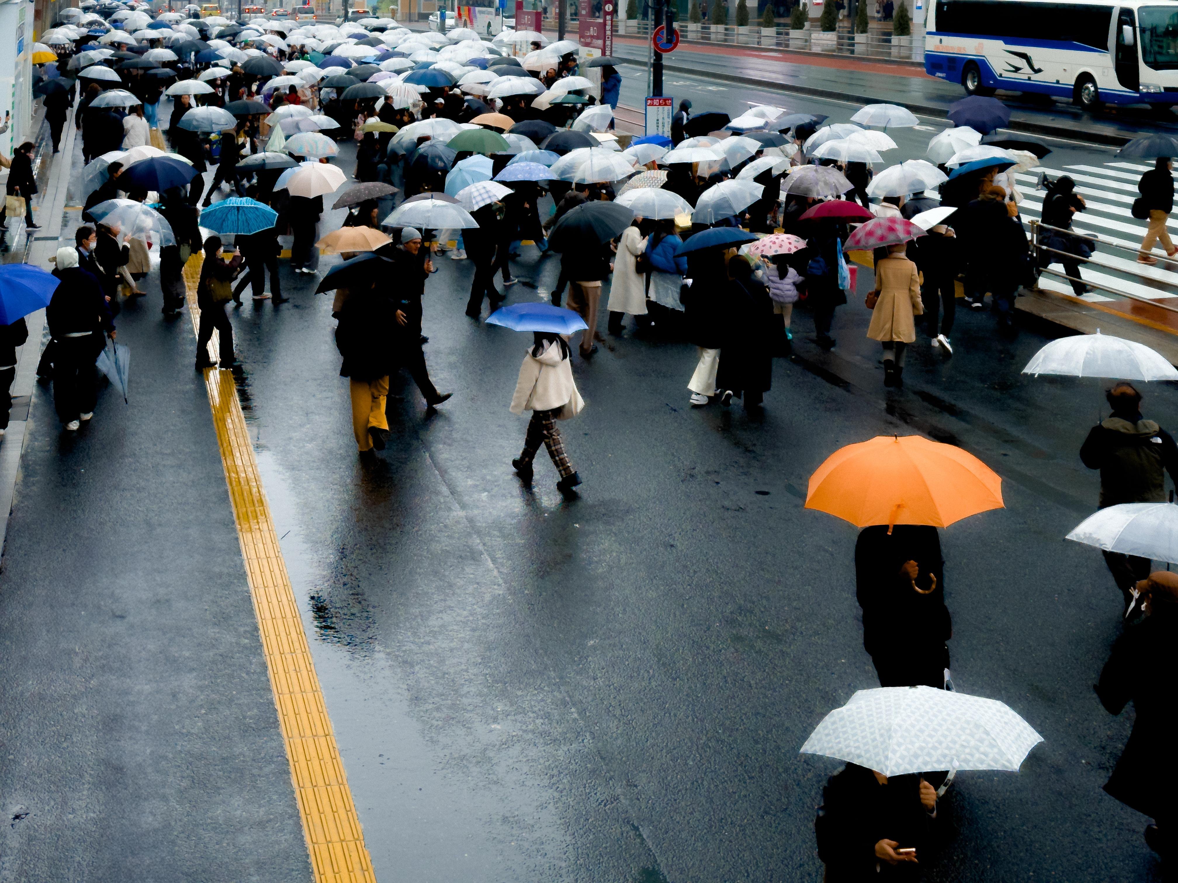 This image shows a crowd of people walking on a wet street, possibly during a rainy day. Many of them are holding umbrellas of various colors. The scene appears to be in an urban setting, with a road and a bus visible in the background.