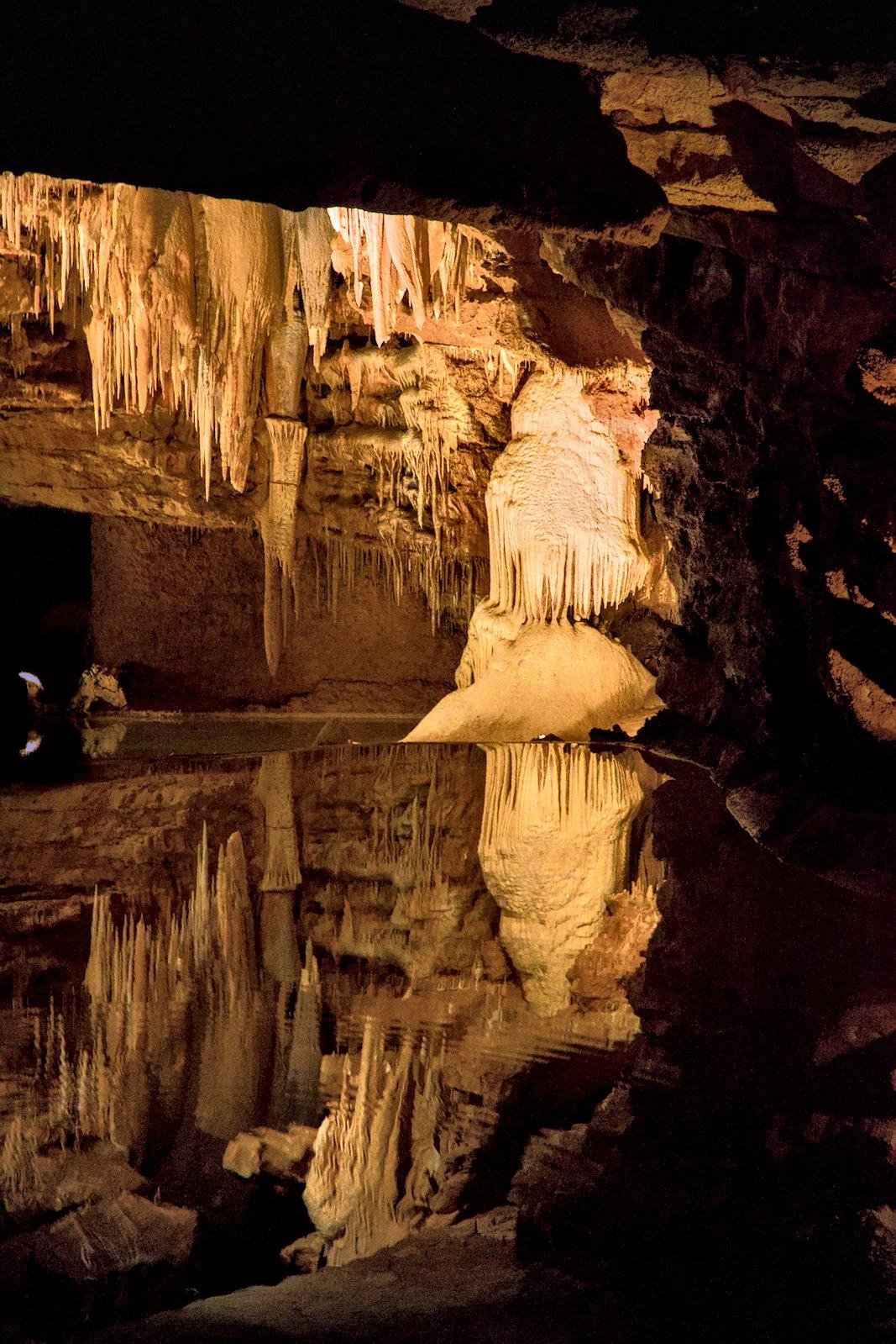 Photo format portrait montrant des structures blanches rocheuses souterraines pendants du plafond, se reflétant dans un plan d’eau calme, le tout éclairé par une lumière orangée