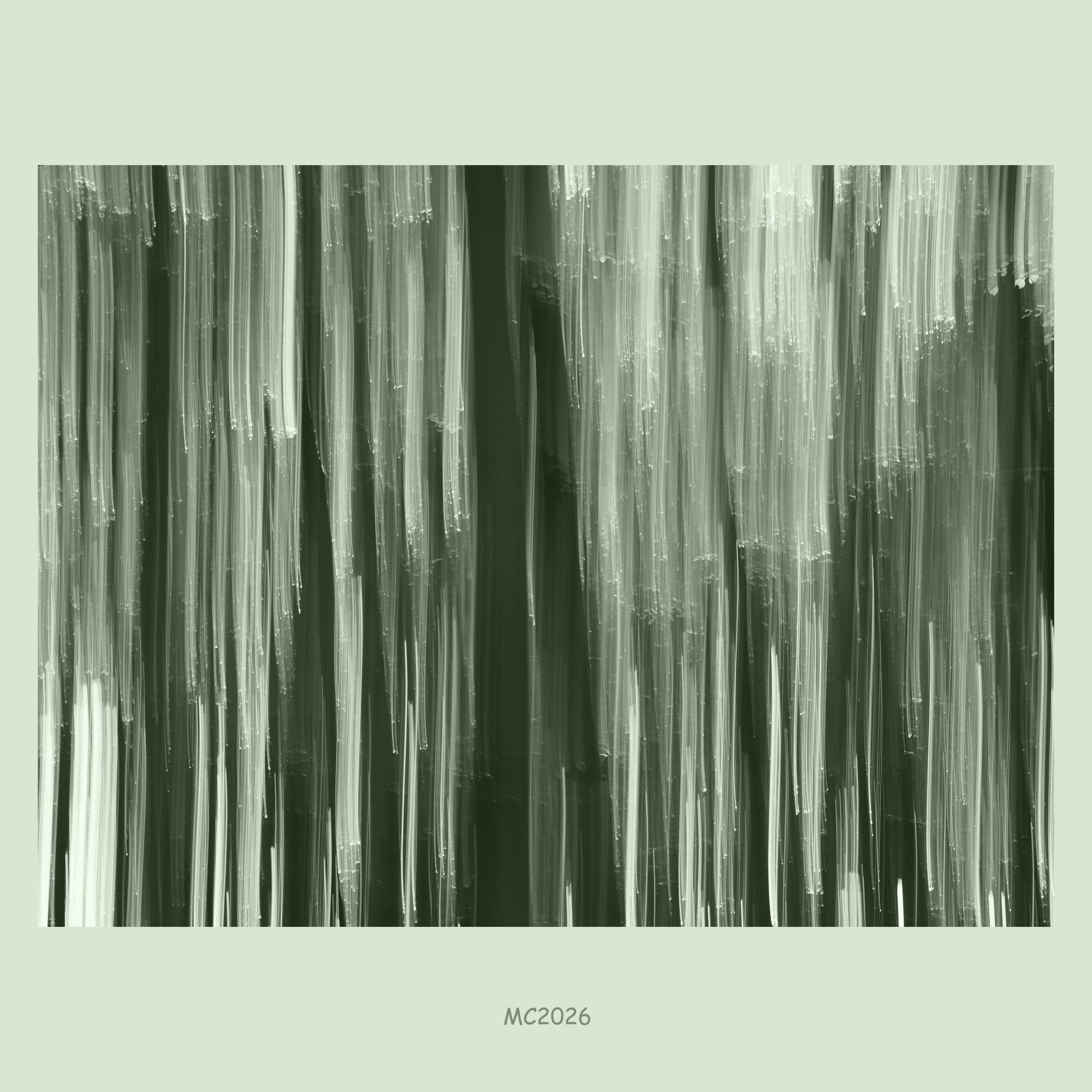 Abstract artwork with layered vertical streaks in dark green and pale gray, resembling blurred wood and leafs, centered on a light green background with the text “MC2026” below.