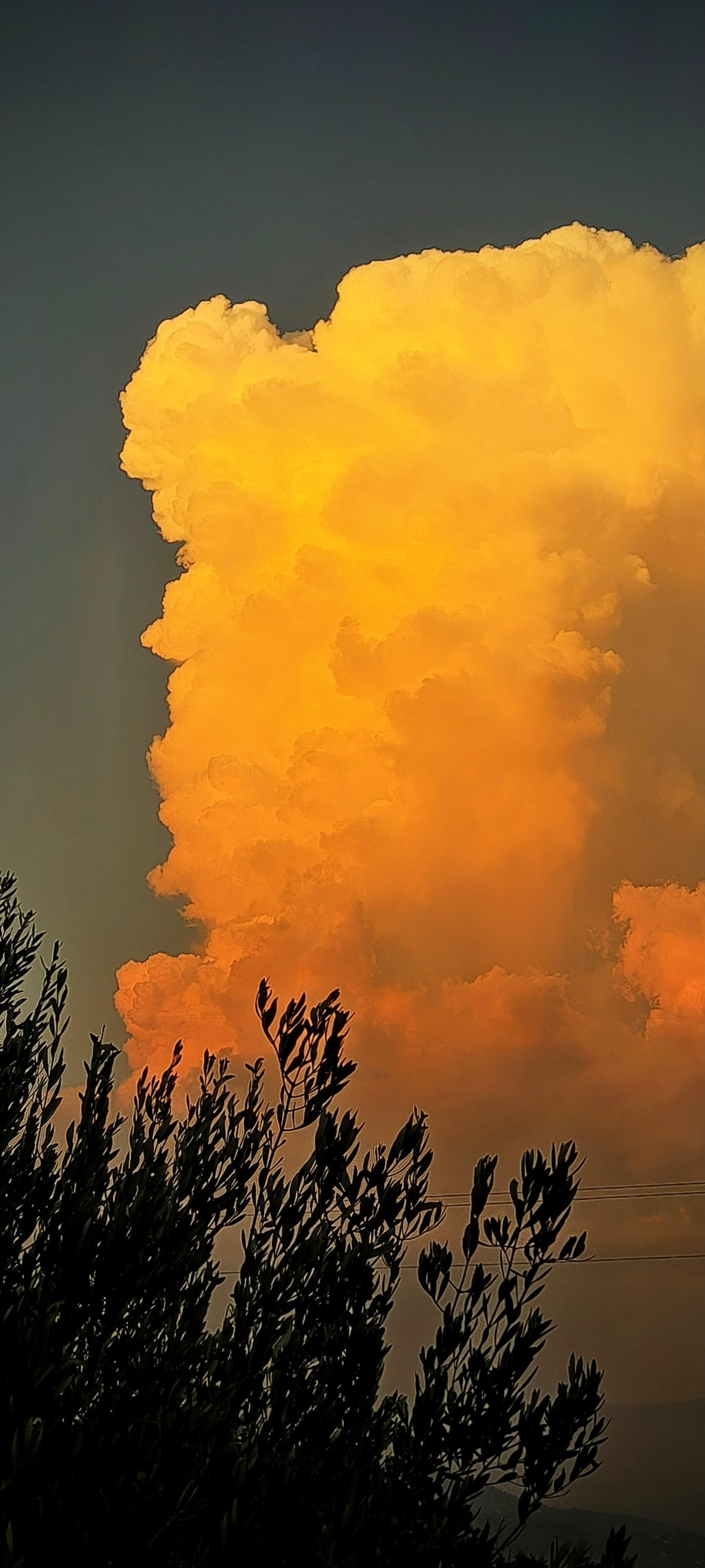 Nuvola arancione e gialla che si alza contro cielo grigio-verde, vegetazione scura in primo piano.