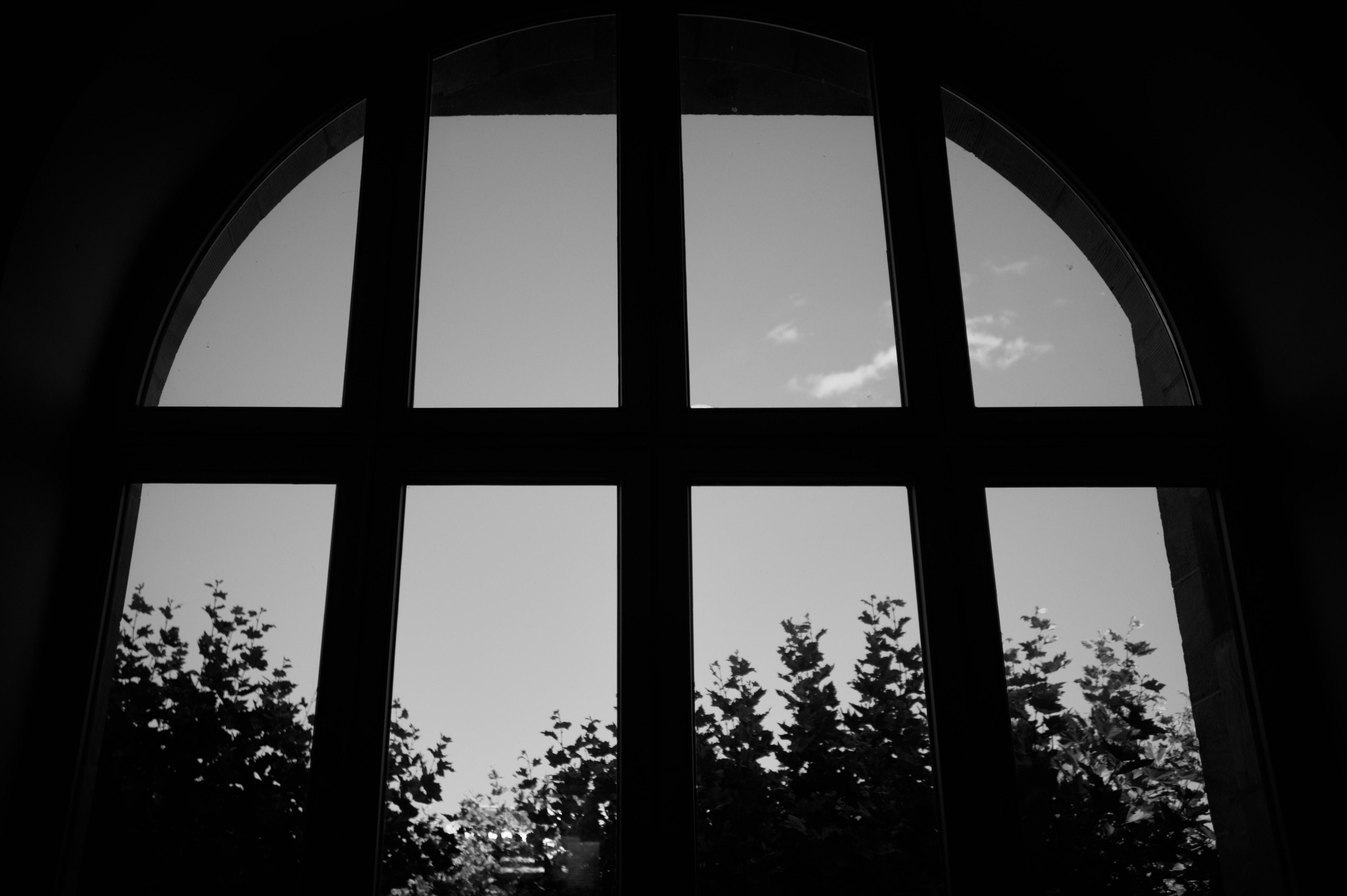 Black-and-white view looking out through a tall arched window with multiple vertical panes and a horizontal crossbar, showing silhouettes of tree tops against a bright sky with a few clouds.