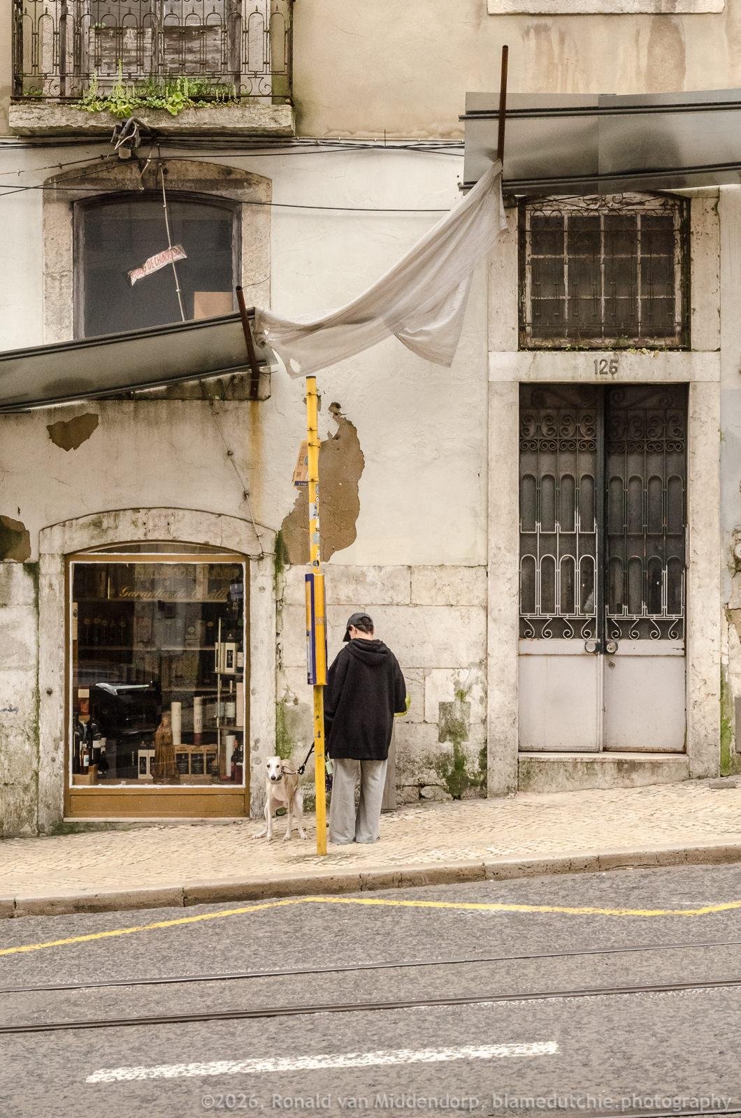 Person in a dark hoodie and gray pants stands on a side-walk beside a yellow pole, holding a leash attached to a white/beige dog. Worn building facade behind them with a shop window on the left, a barred door labelled “125” on the right, and a white sheet draped between two metal awnings above; street with tram tracks in the foreground.