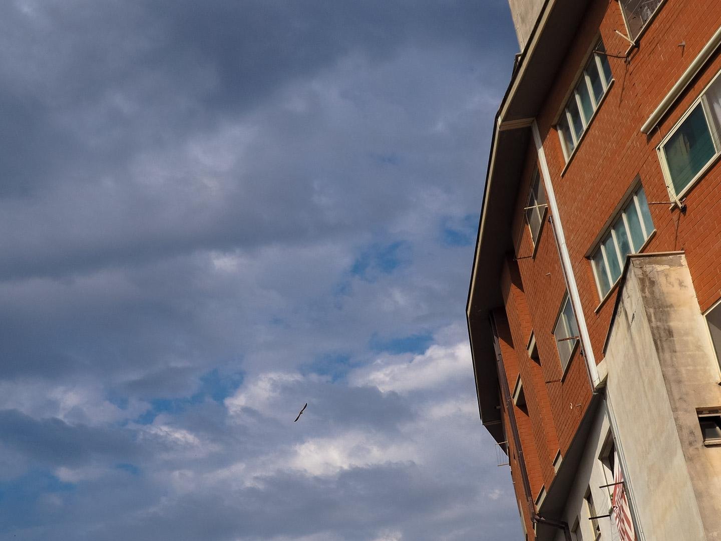 Palazzine popolari su pianta curva, con facciata di mattoni e cemento, contro un cielo carico di nuvole. In basso, più o meno al centro, la sagoma di un gabbiano.