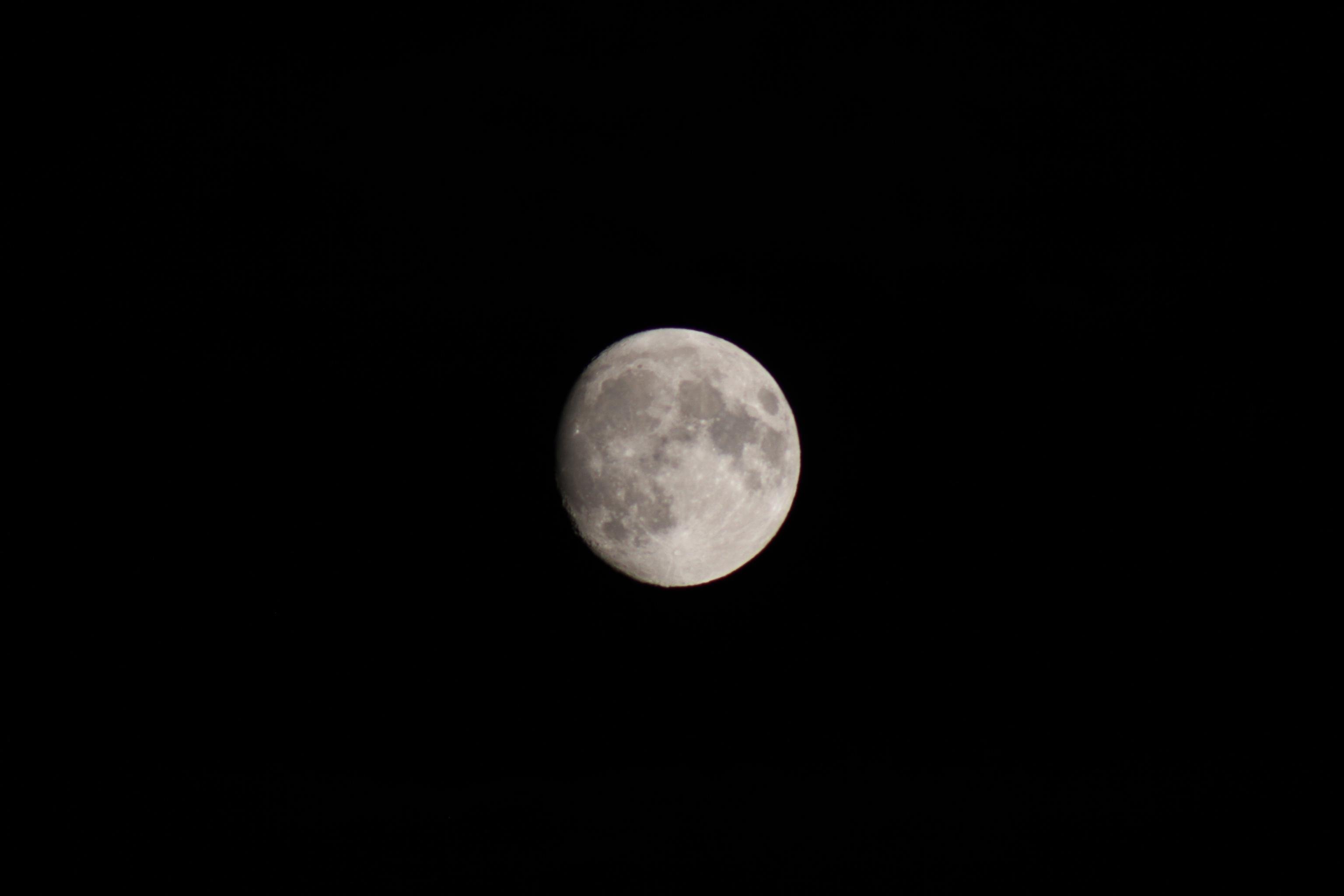 a picture of the moon, no stars can be seen as the moon is far too bright and the area the picture was taken in had too much light popution