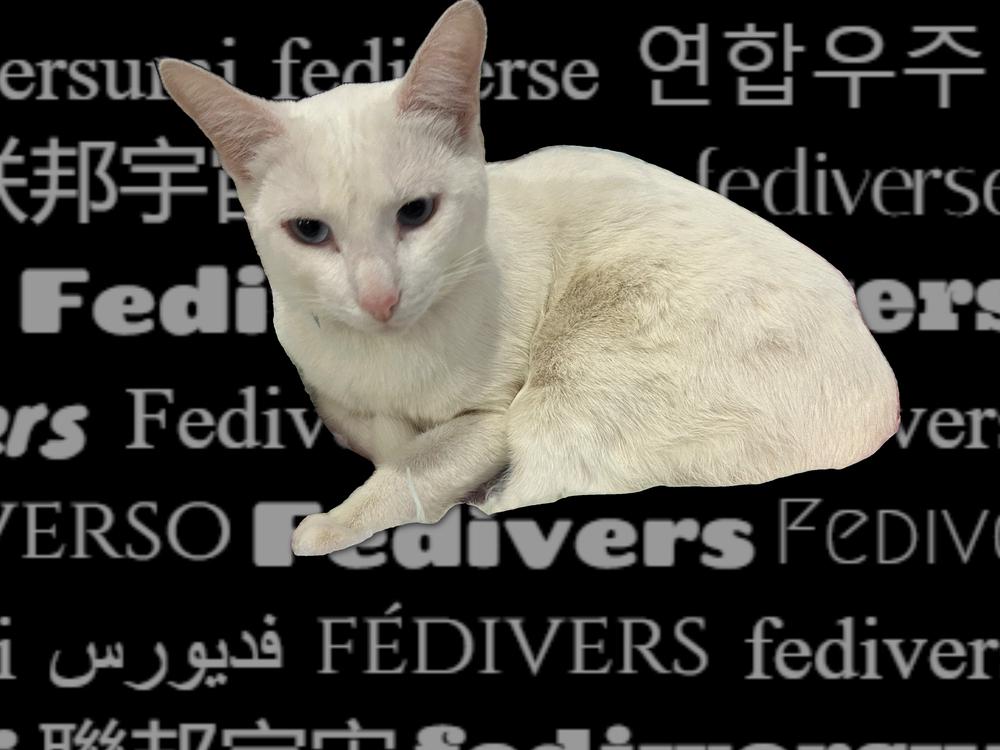 header profile