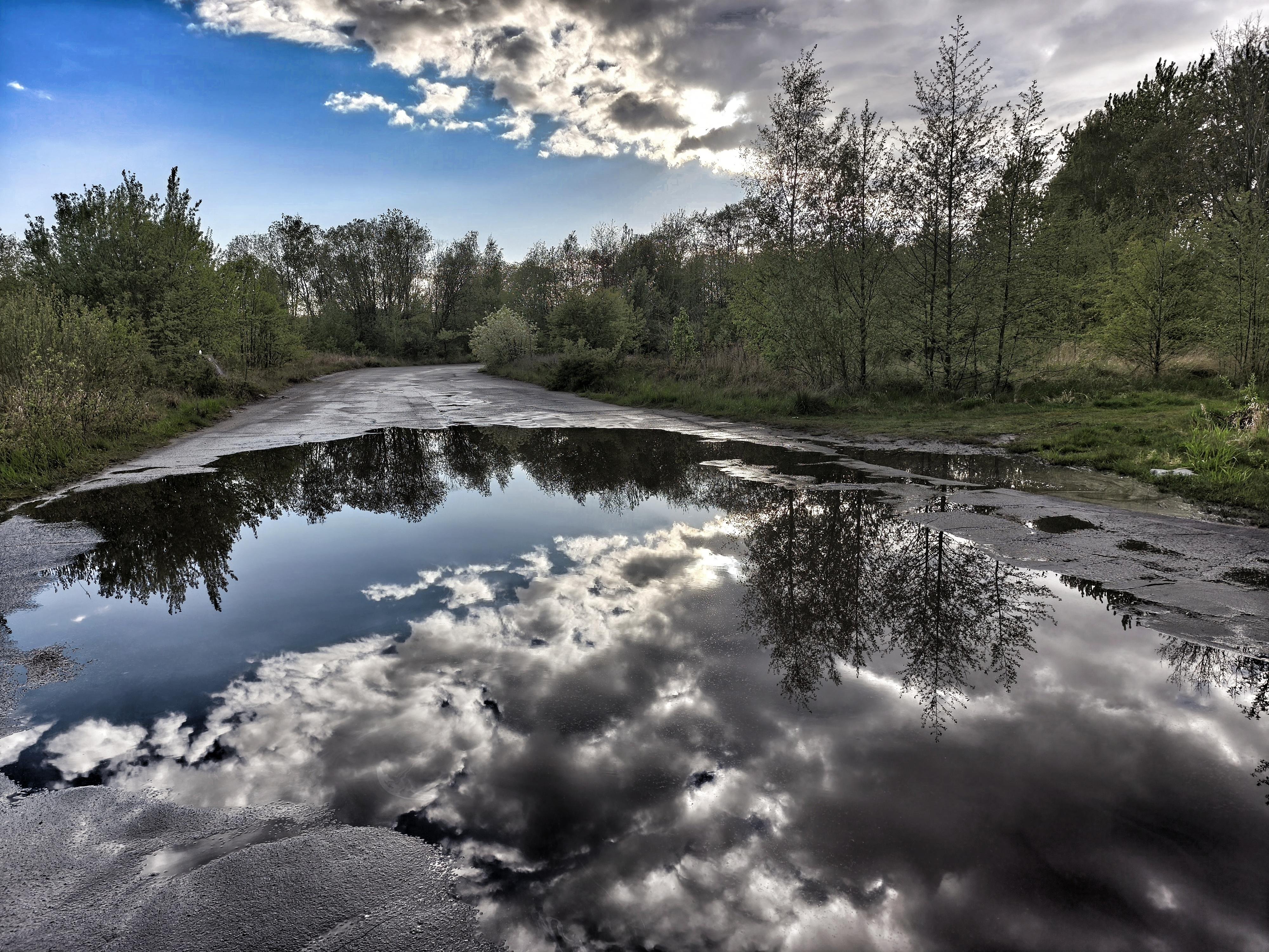 Large puddle covering a cracked asphalt road, reflecting cloudy sky and nearby trees; wooded greenery lines both sides of the road under a partly blue sky.