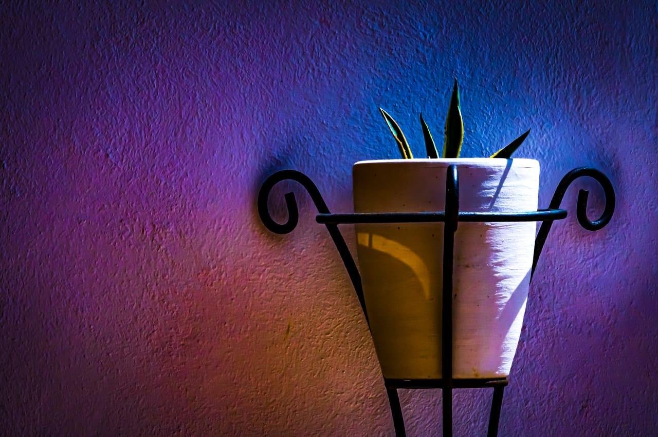 White plant pot with a few green leaves in a black wrought-iron wall holder, set against a textured wall lit with purple, blue, and orange gradient lighting.