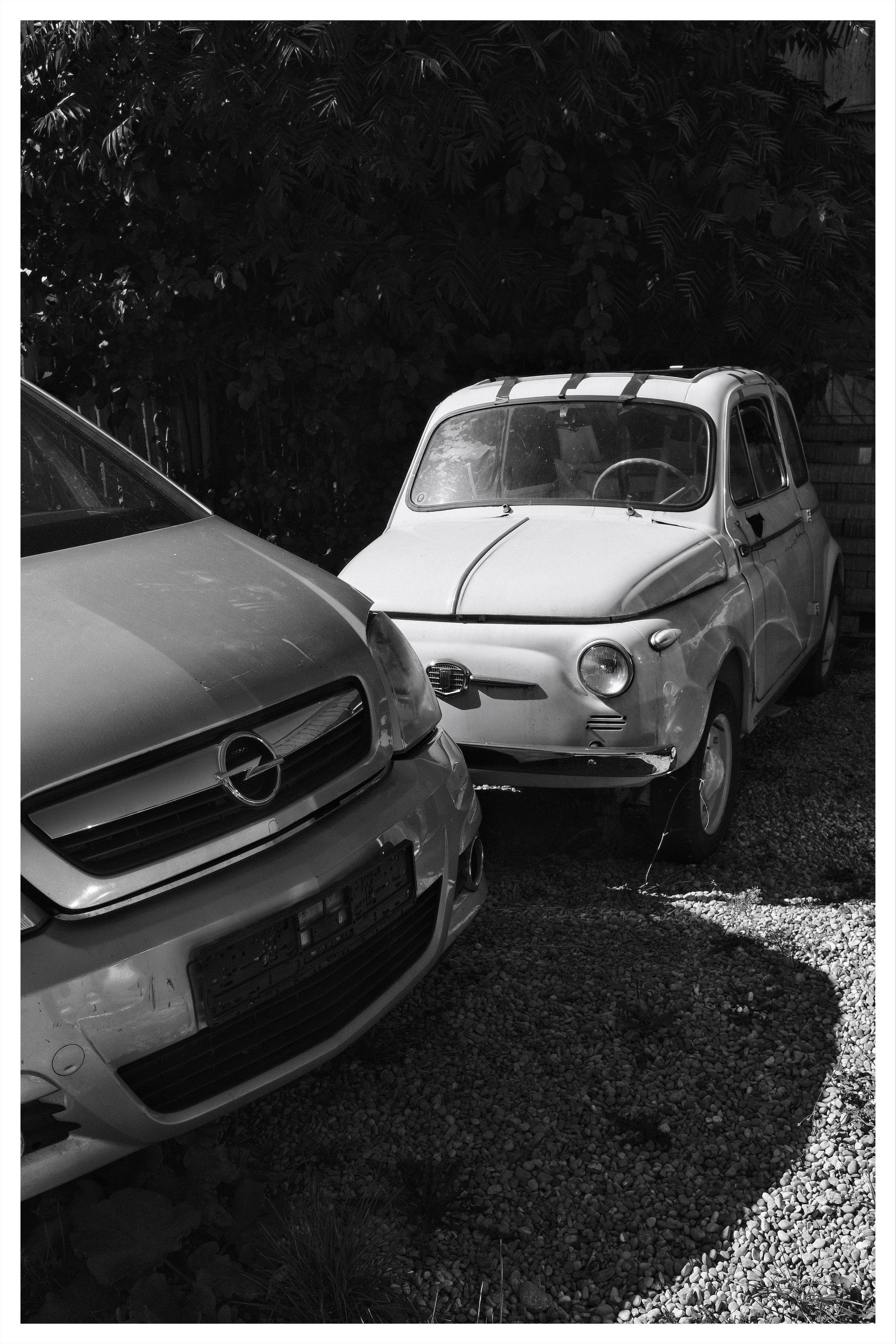 Black-and-white photo of two cars parked on gravel: the front of a modern car in the left foreground and a small vintage car facing the camera on the right, with dense foliage and a fence in the background.