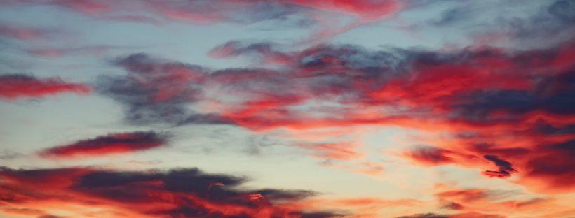header profile