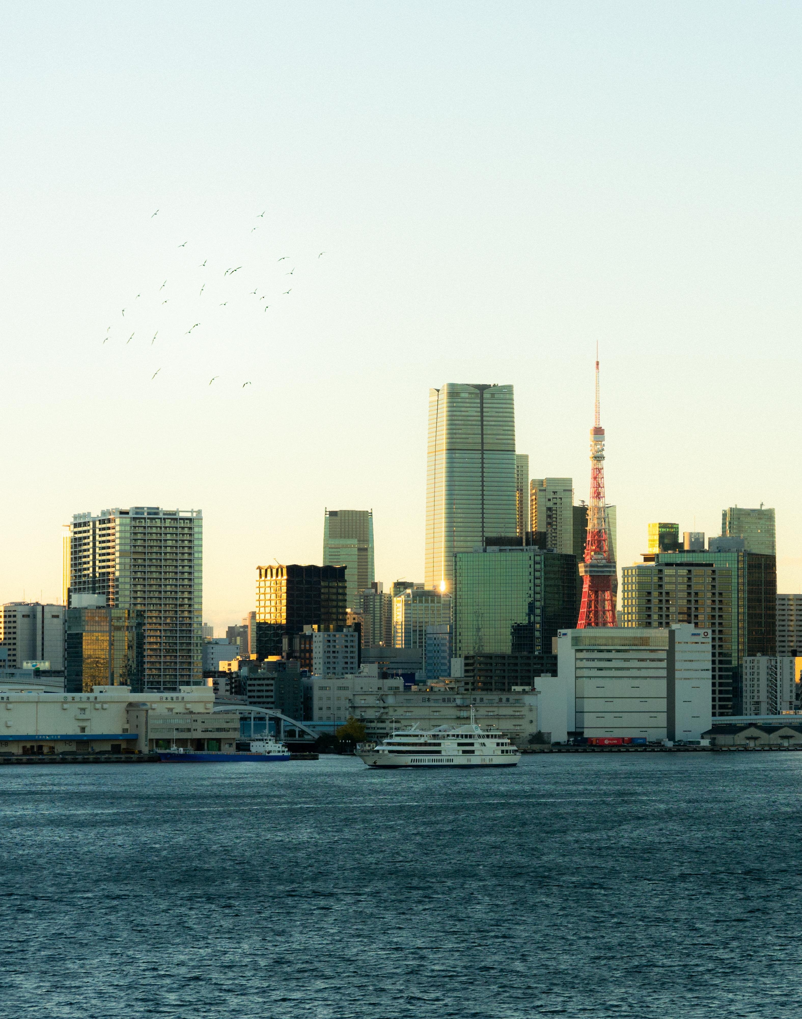 City skyline at sunset with high-rise buildings and a red tower. A large body of water in the foreground contains white boats. Several birds fly above the cityscape, and the lighting casts a warm glow on the buildings.