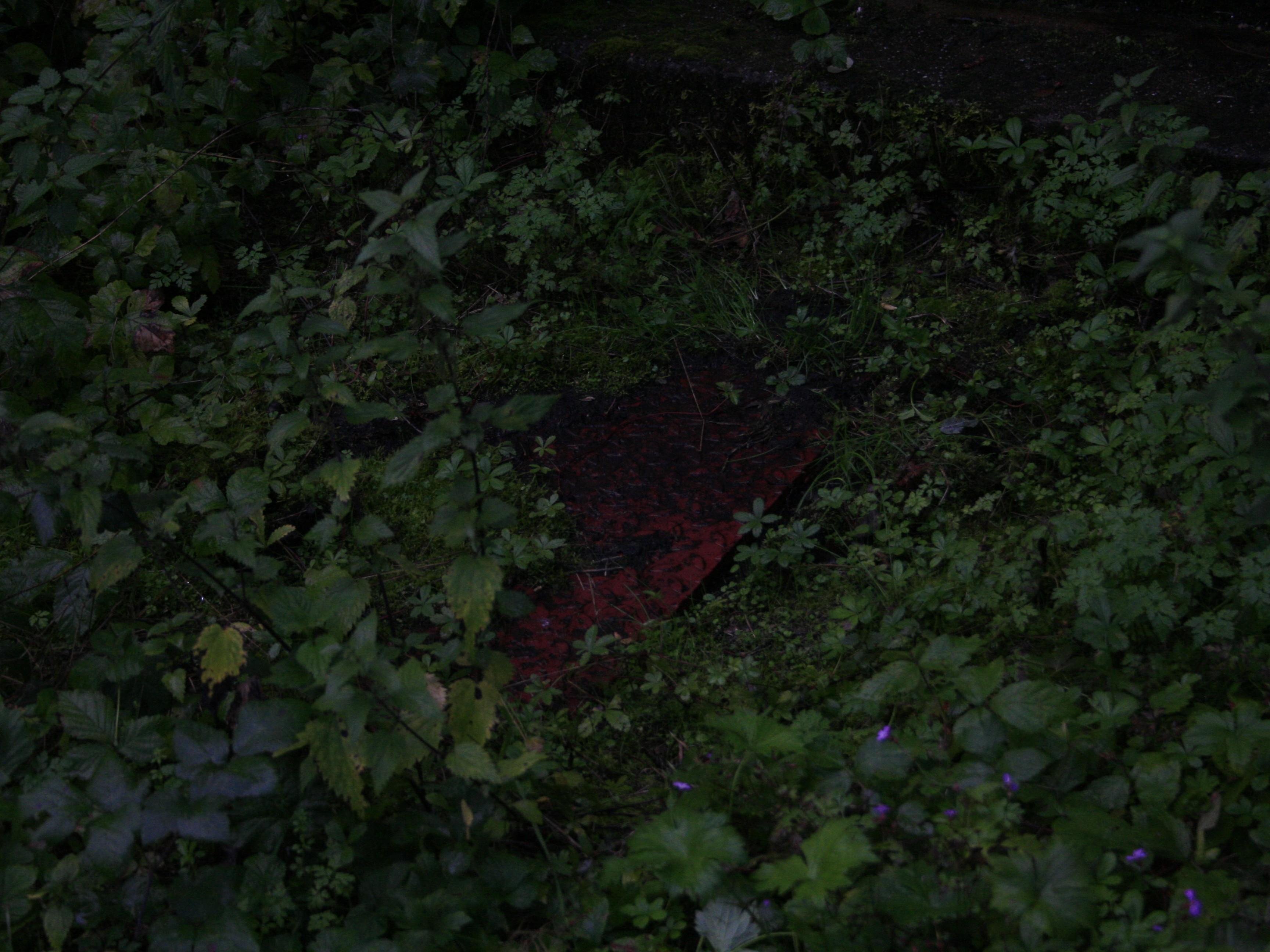 a red metal cover that has been overgrown by the local vegetation