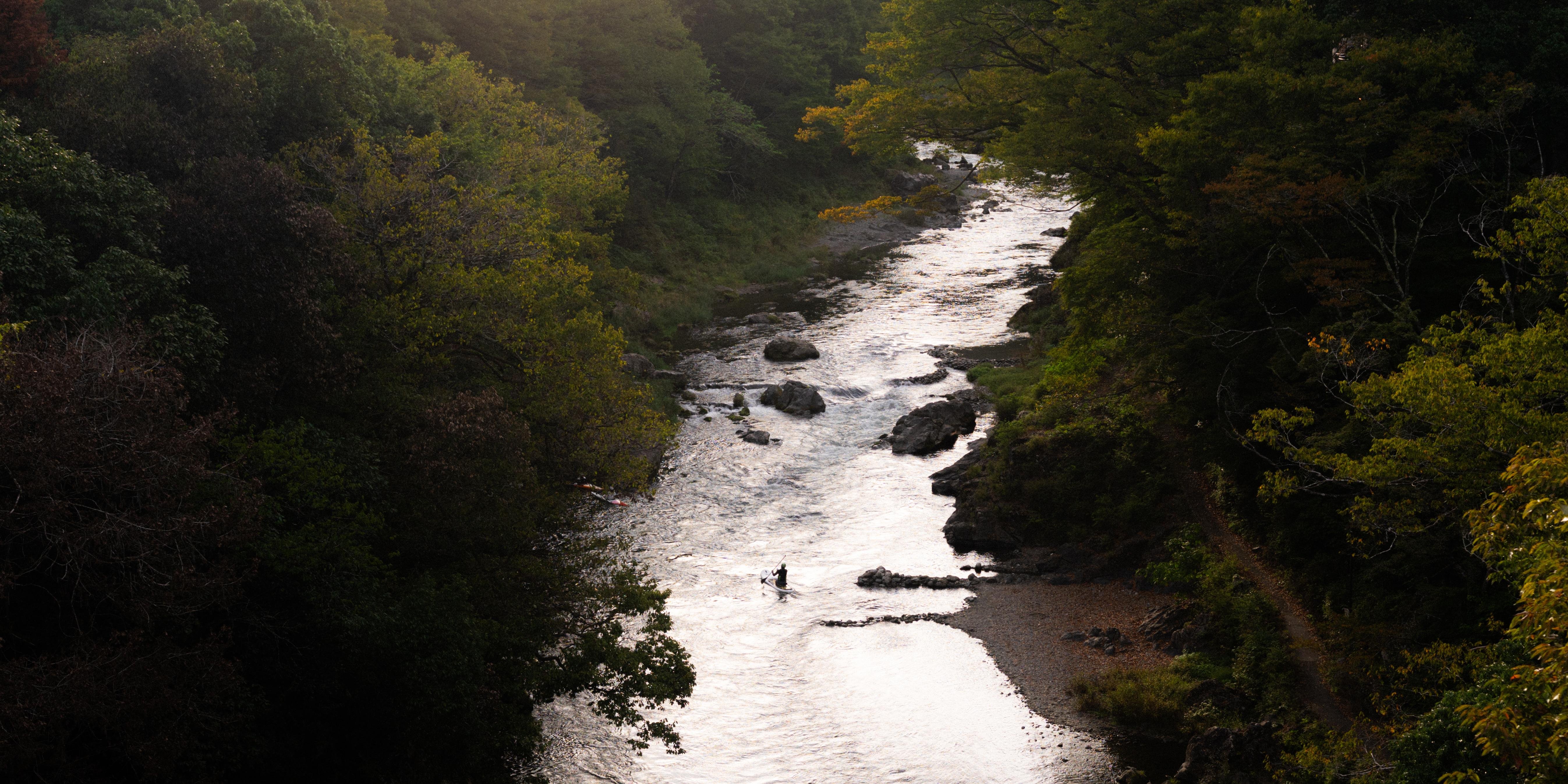 River flowing through a dense forest landscape, surrounded by trees with green and dark foliage. Rocks are scattered in the water, and a person is standing in the river, accentuated by the soft lighting from the setting sun.