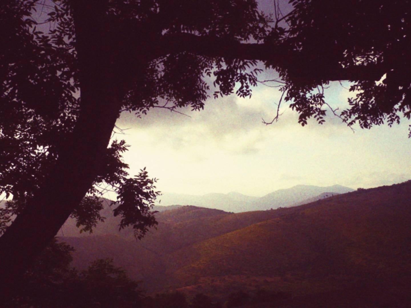 Panorama delle montagne al tramonto, col cielo nuvoloso e la silhouette di un albero che incornicia la parte superiore dell'immagine.