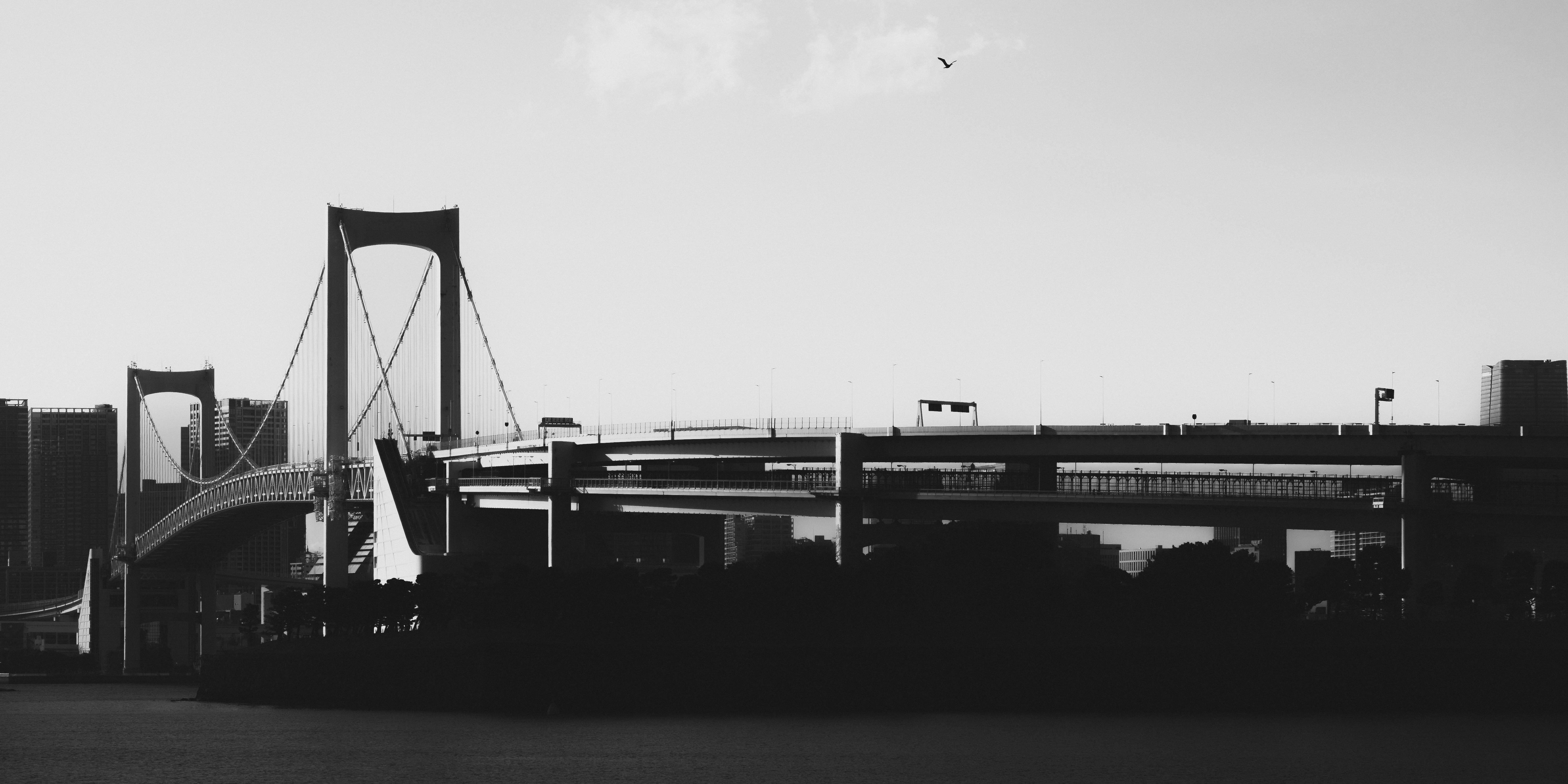 Monochrome image of a large suspension bridge with tall towers, spanning over a body of water. The city skyline with tall buildings is visible in the background. Silhouettes of trees appear in the foreground, and a single bird flies above the bridge.