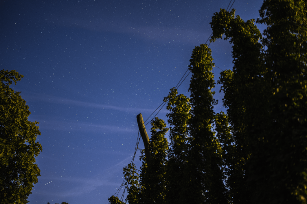 header profile