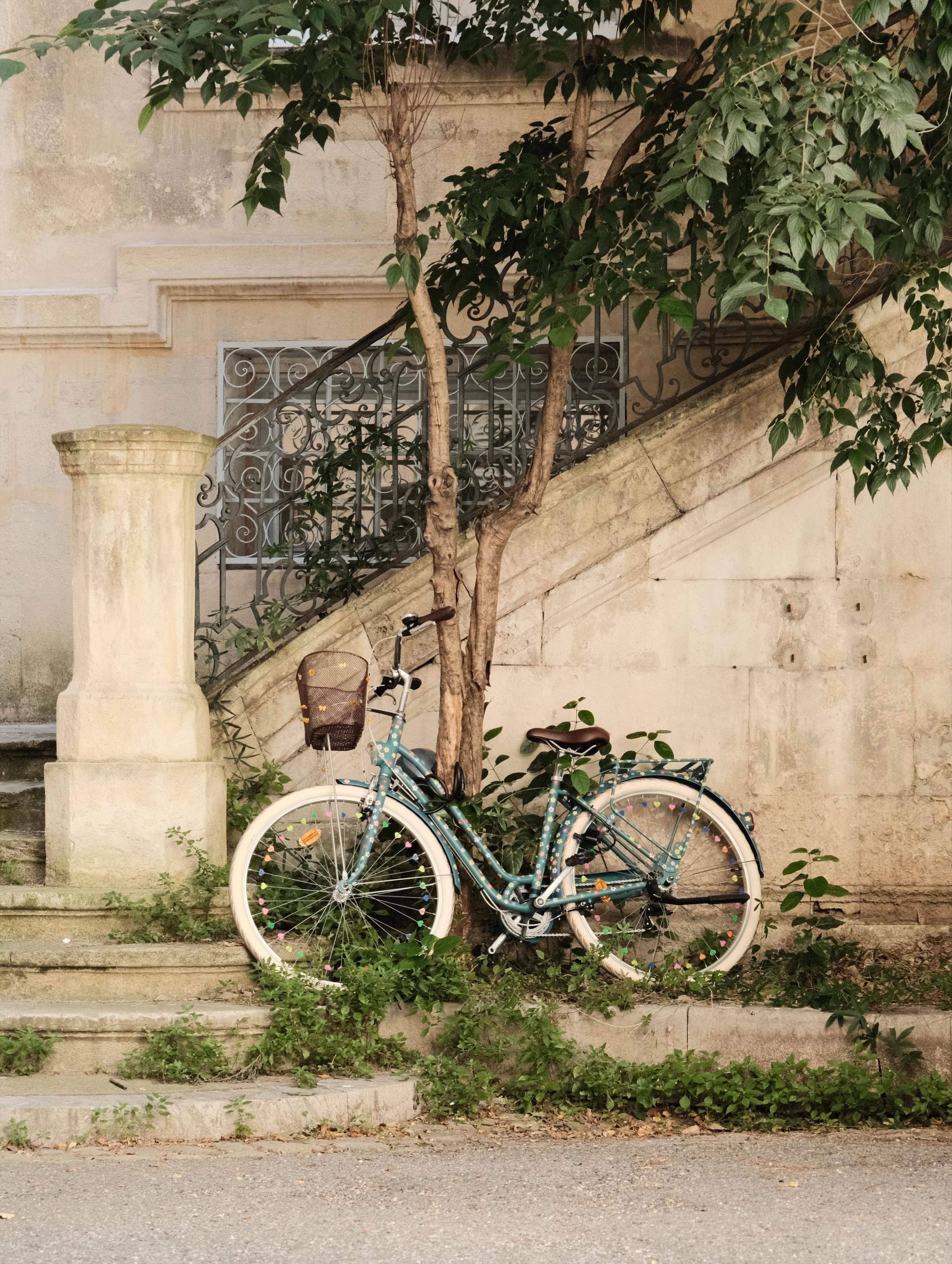 A bike decorated with many hearts standing on a tree in an urban Mediterranean backyard.