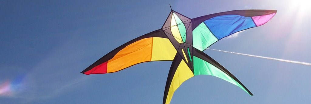 header profile