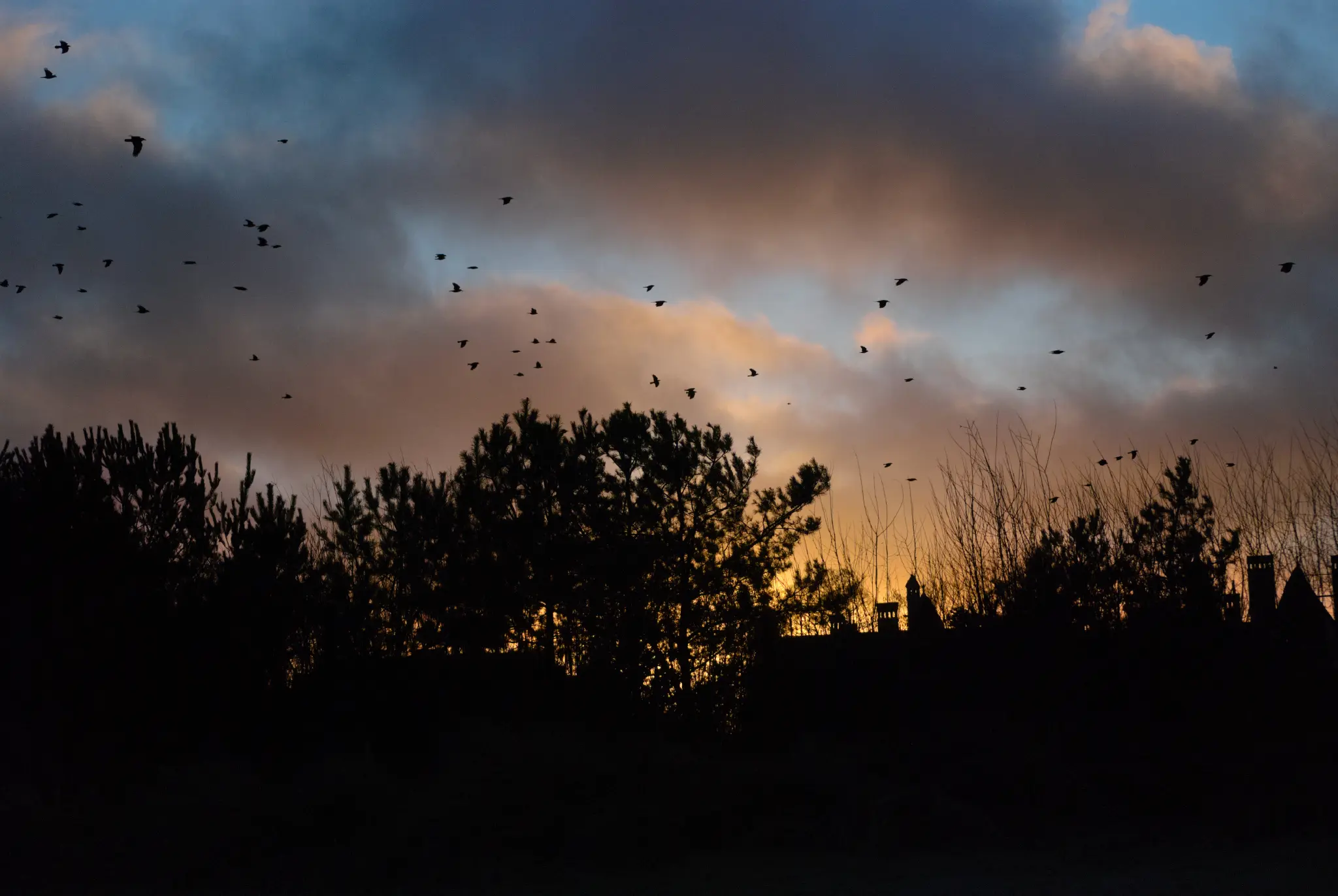 header profile