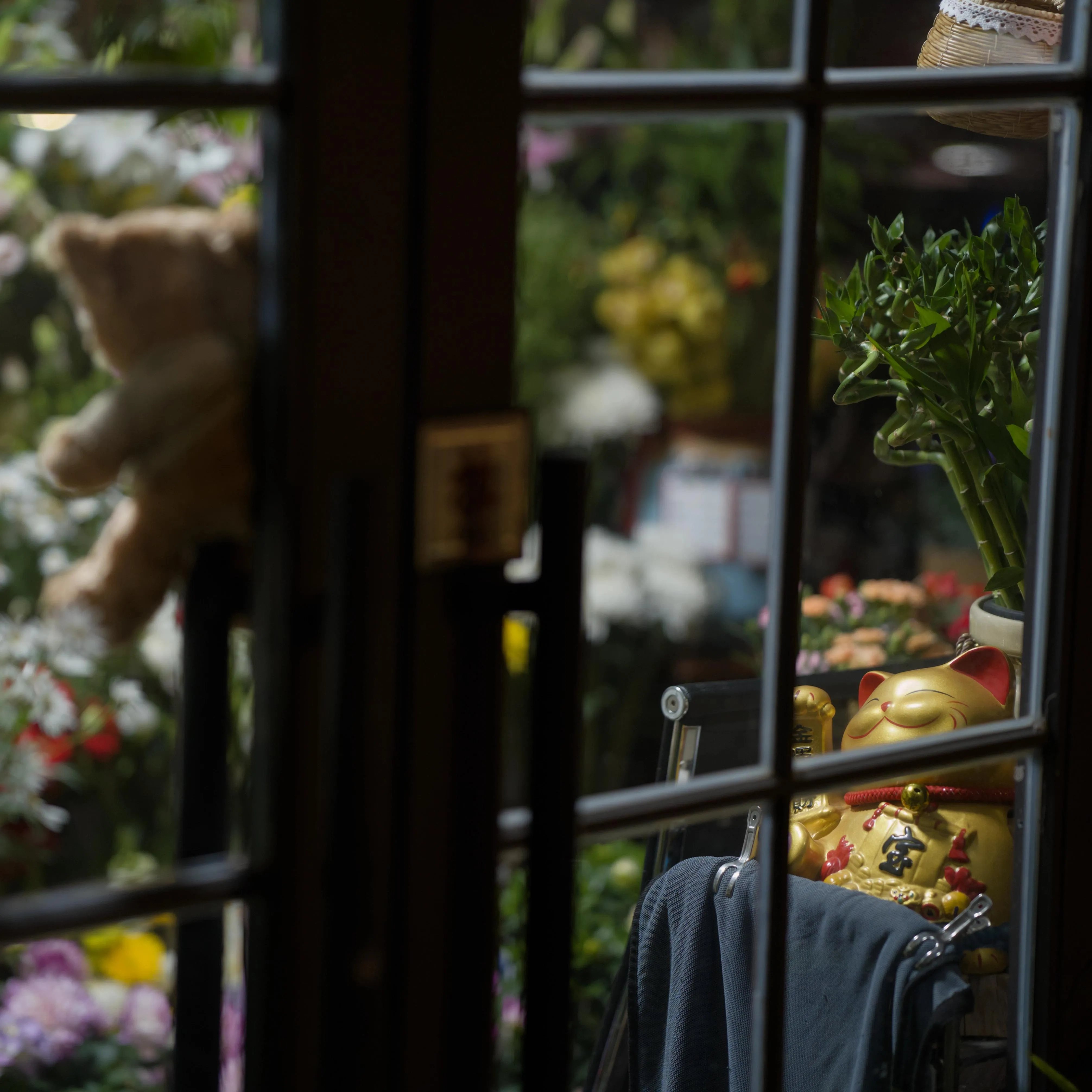 Photograph of decorations inside a florist shop, taken through the glass windows of its door at an angle. The focused decoration item is a gold-coloured lucky cat statue (maneki-neko) adorned with Chinese characters, leaning against a potted mini bamboo plant. In the blurry out-of-focus background are many other flower and plants. In the foreground, a teddy bear hangs attached to the inside of the door.