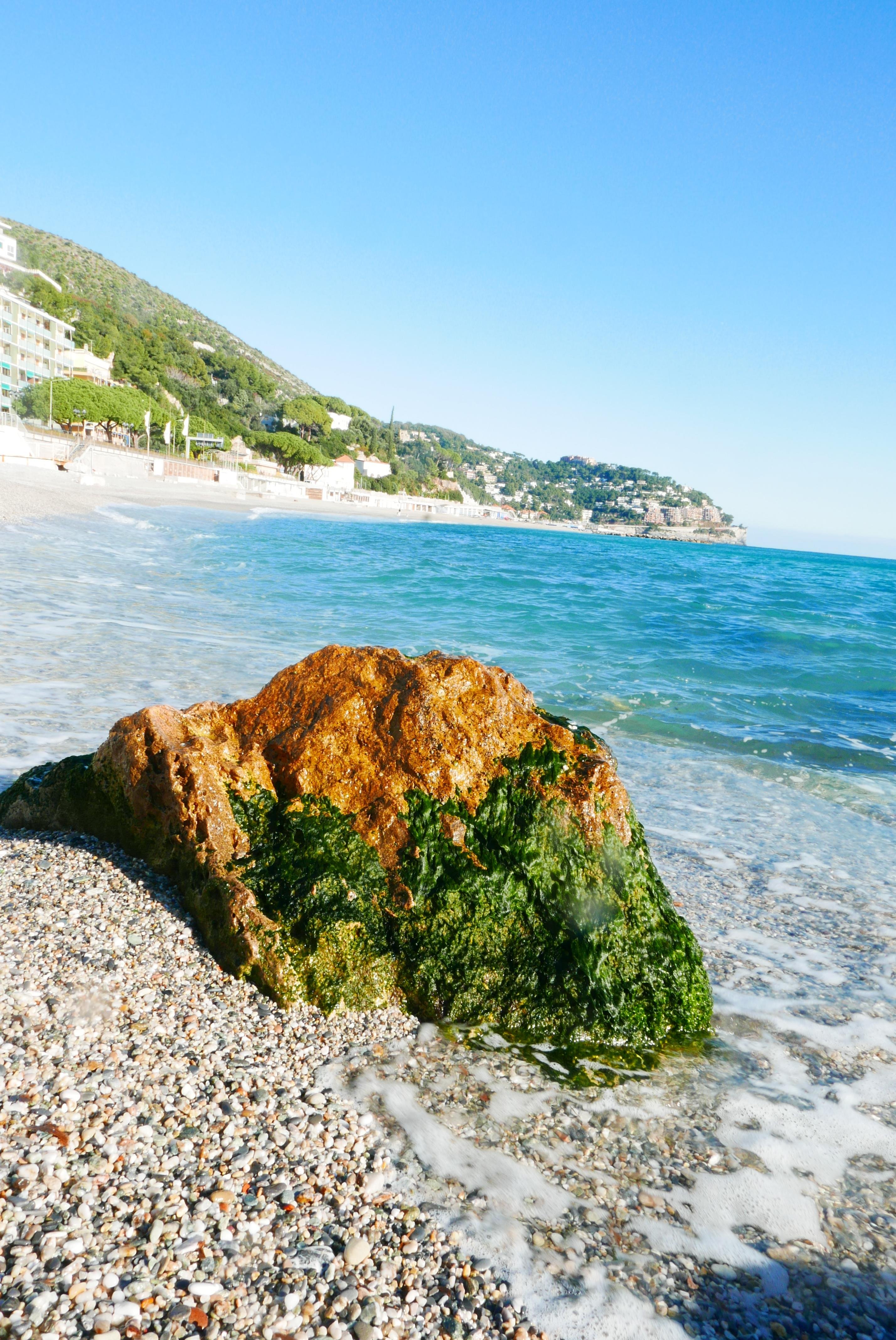 This image depicts a coastal scene with a large rock covered in green algae or seaweed on a pebble beach. The background shows clear blue water and a coastline with buildings and greenery, likely hills or mountains. The sky is clear, indicating a sunny day.