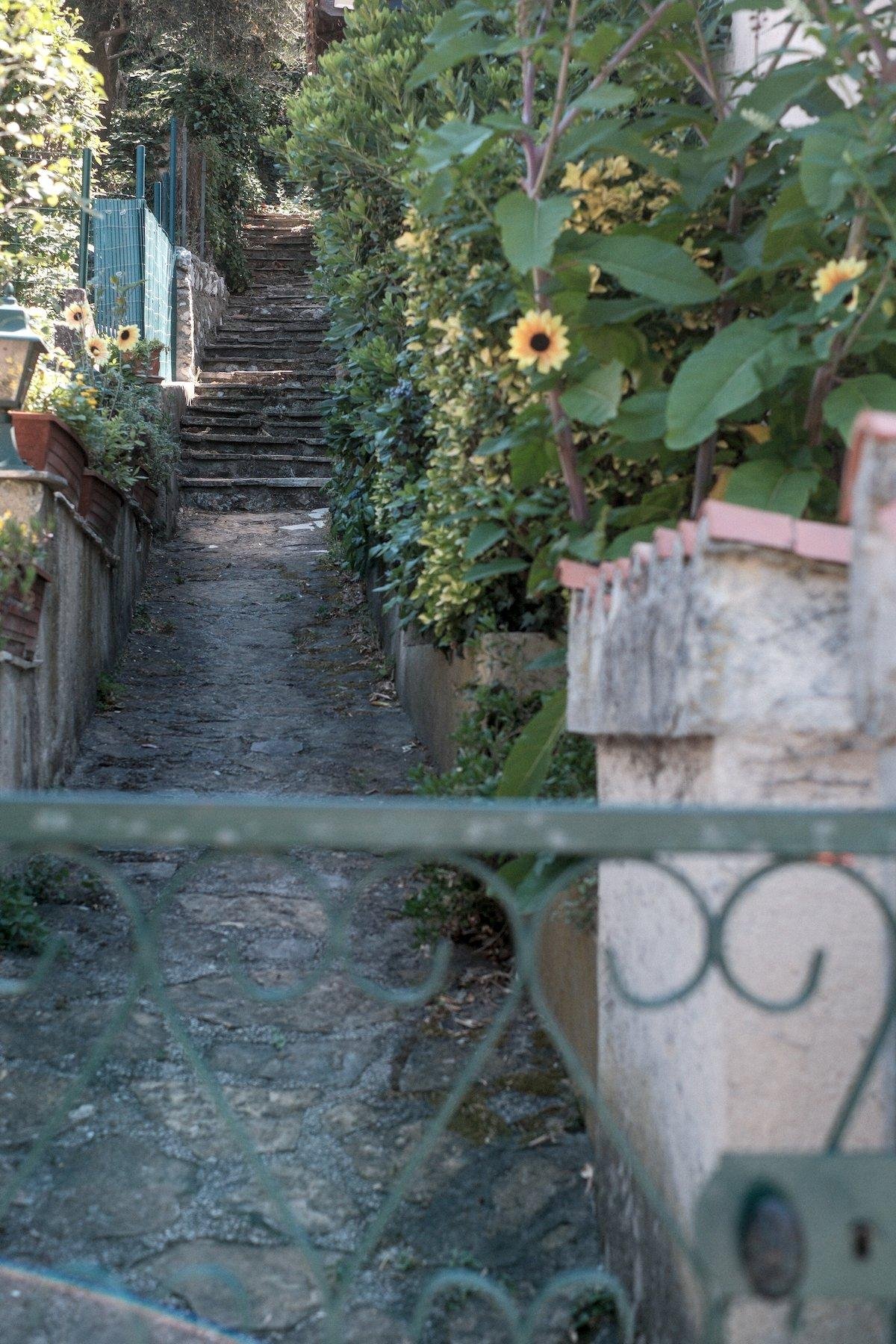 Photo verticale. Au premier plan, flou, le haut d’un petit portail en fer forgïé peint en vert. derrière, une petite allée bordée de plante et de fleur jaune ressemblant à des tournesol mais qui n’en sont pas. Un peu plus loin, l’allée se prolonge par un escalier en pierre