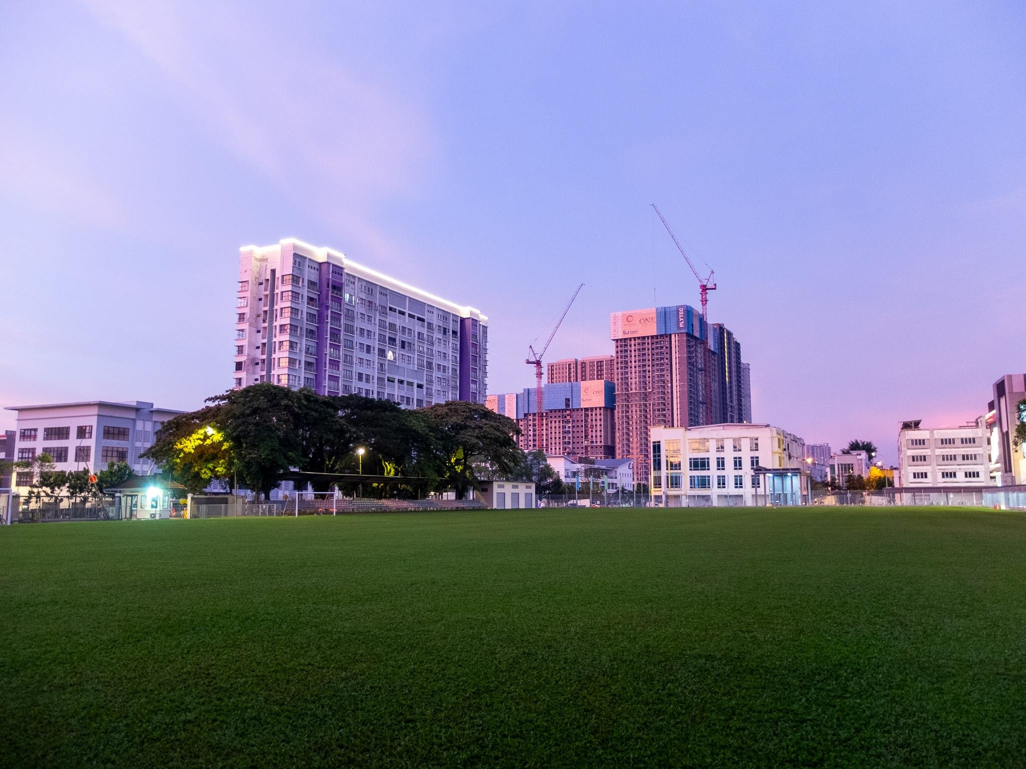 The image shows a grassy field with buildings in the background during sunset or sunrise, giving the sky a purple and pink hue. There are cranes visible, indicating construction in progress on some of the buildings. Trees are also present, adding greenery to the urban scene.