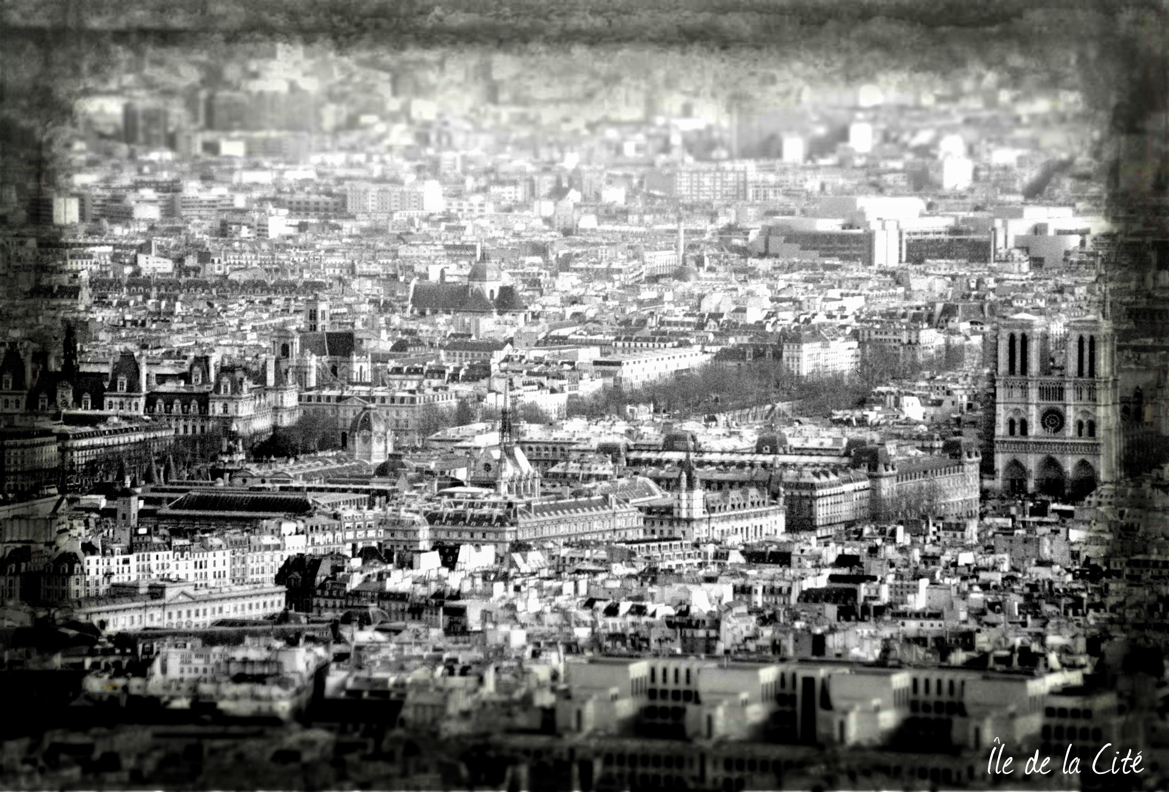 Black-and-white panoramic photograph of Paris, taken in February 2004 from the observatory level of the Eiffel Tower. The image, scanned and edited from a 35mm negative, has a soft, slightly grainy texture and a darkened vignette around the edges that gives it a vintage, atmospheric feel. At the center and stretching across the frame lies the historic heart of the city: the densely packed rooftops and ornate façades of the Île de la Cité. To the right, rising unmistakably above the surrounding buildings, stands the twin-towered western façade of Notre-Dame Cathedral, its iconic rose window faintly visible despite the monochrome tones. Further left are other recognizable historic structures, including the long, elegant buildings of the Palais de Justice and the Hôtel-Dieu. In the far background, the city fades into a hazy blur, emphasizing depth and the sheer scale of Paris. In the bottom right corner, the handwritten text “Île de la Cité” is added as part of the edit.
