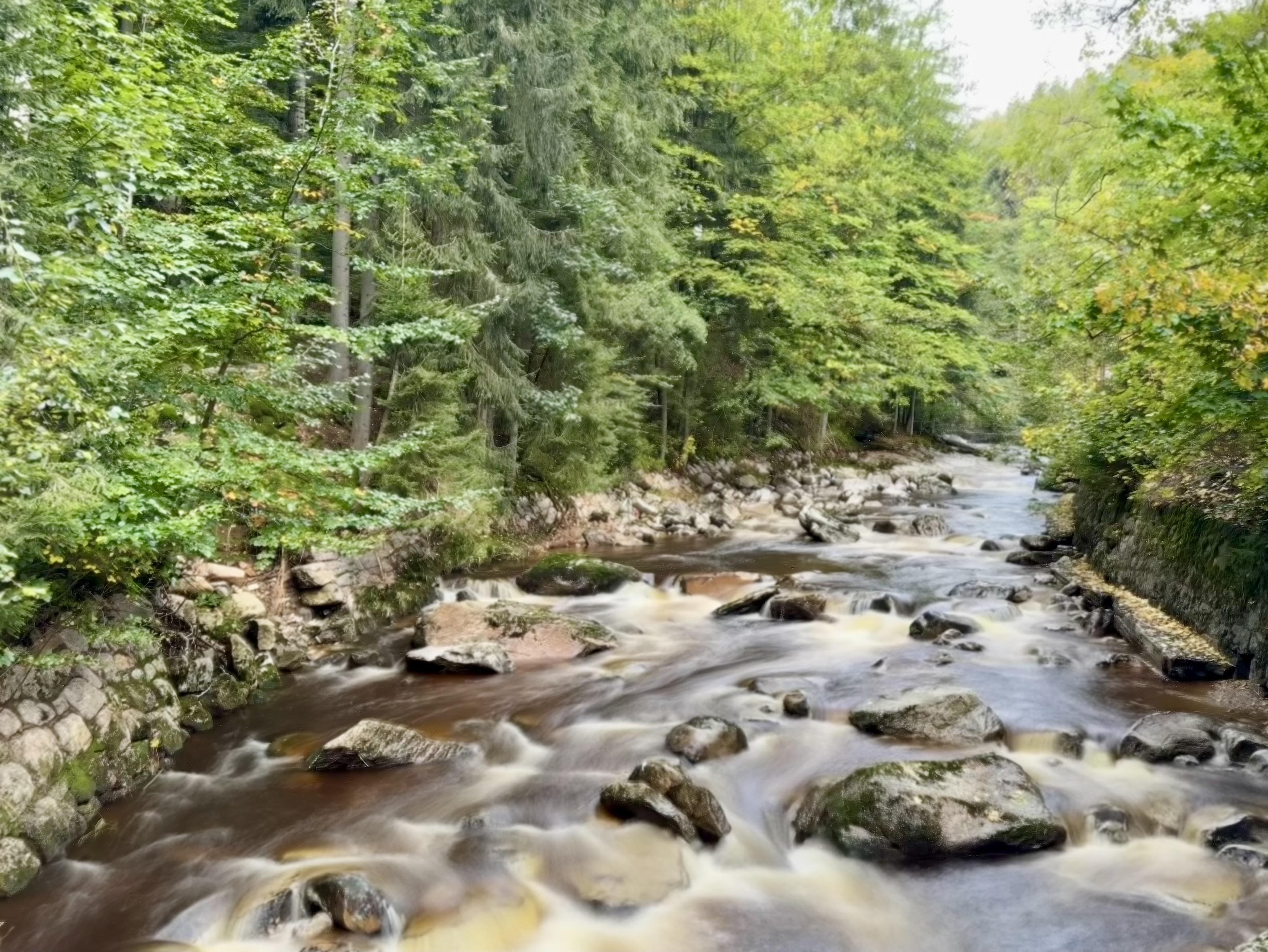 The image depicts a creek or small river flowing through a forested area. The water is moving swiftly over rocks, and the surrounding area is lush with green trees and vegetation. It appears to be a natural, tranquil setting.