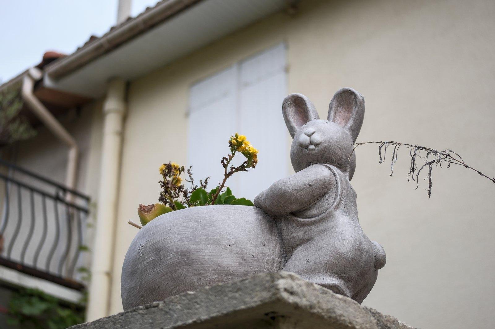 Photo horizontale. Contre plongée sur une décoration de rue, un lapin en salopette tenant un pot de fleurs dans lequel on voit des petites fleurs jaune