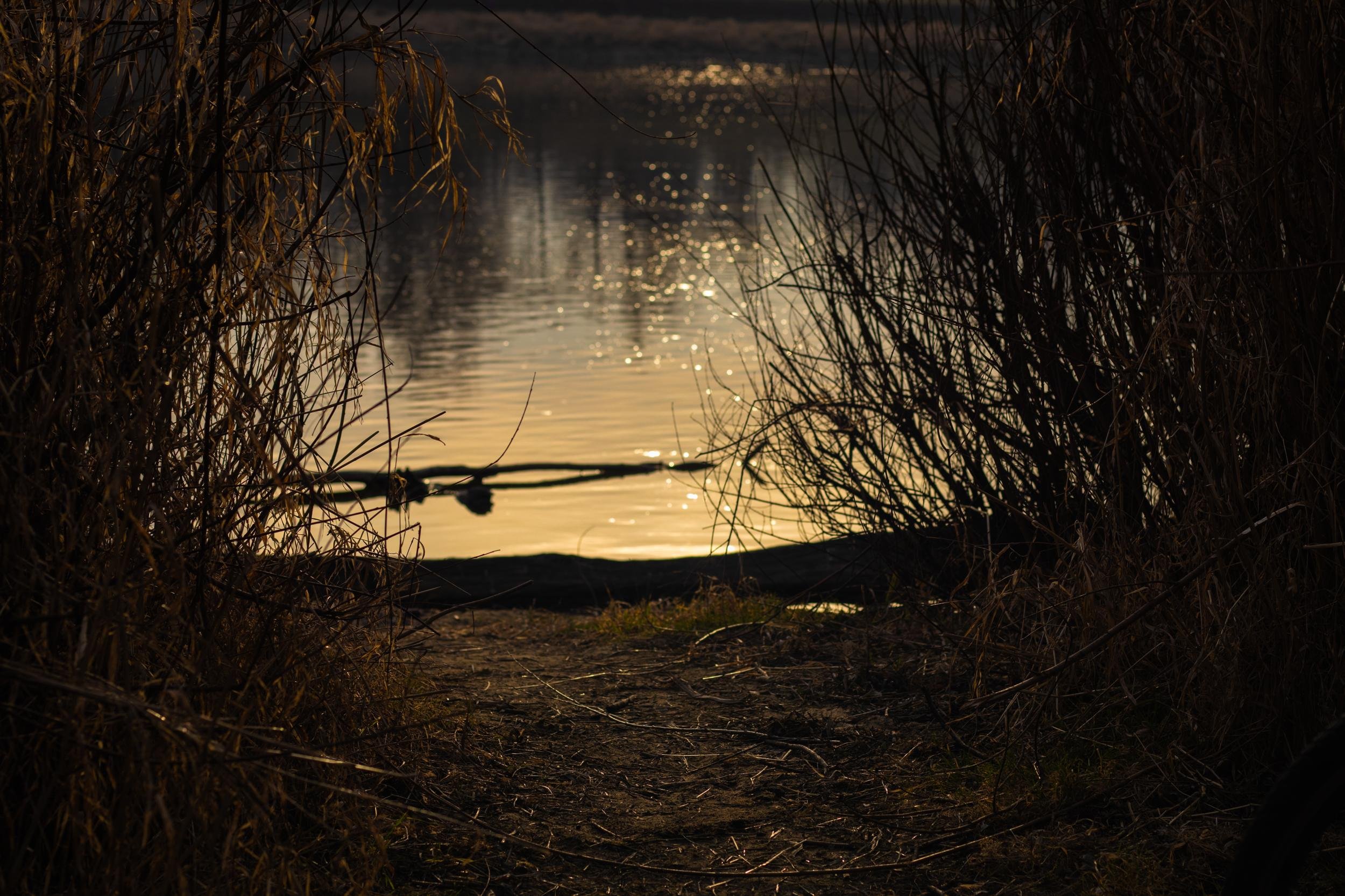 This image depicts a tranquil scene of a body of water, possibly a lake or river, with the sun reflecting on its surface. The water is surrounded by tall grass or reeds on either side, creating a secluded, natural frame. The lighting suggests it might be near sunset or sunrise, giving the scene a warm, golden hue.