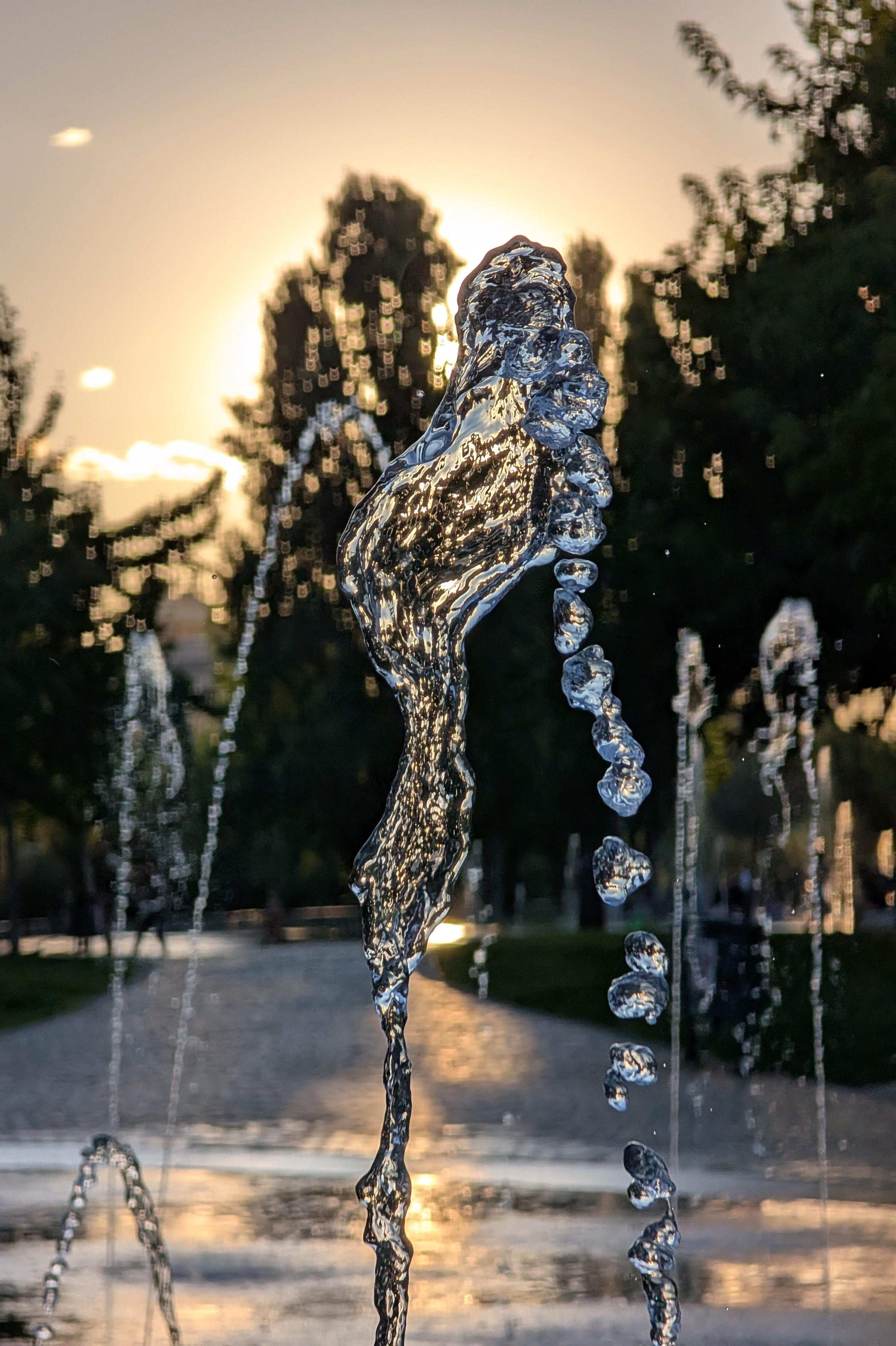 Water fountain captured mid-spray, with droplets and streams of water glistening against the sunlight. Tall trees in the background are silhouetted by the setting sun.