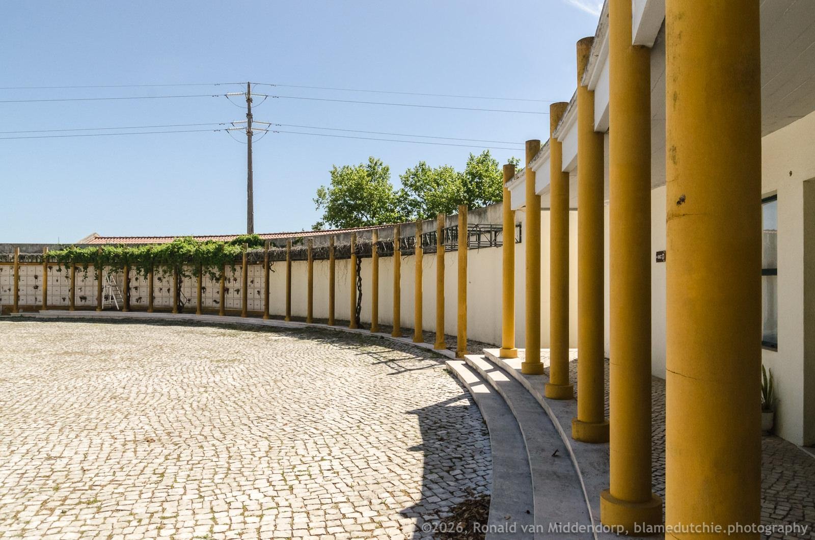 Curved cobblestone courtyard beside a building with a row of tall yellow columns and shallow steps; low columbarium wall with vine-covered trellis and trees in the background under a clear blue sky.