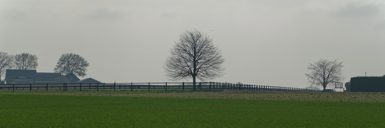header profile