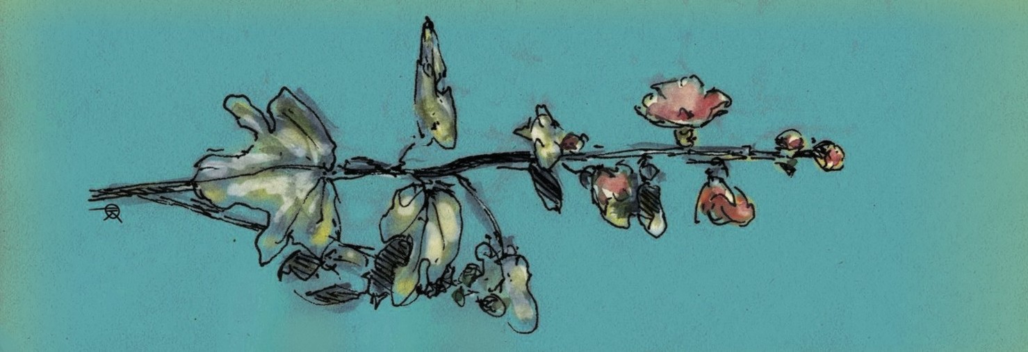 header profile