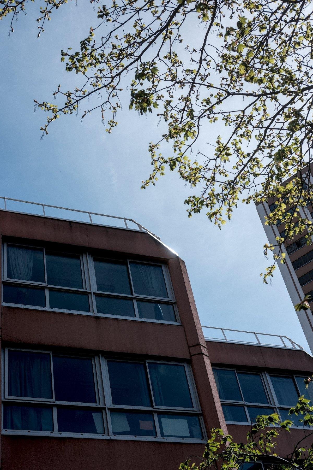 Photo verticale. En bas à gauche, contre-plongée d’un bâtiment rose dont l’angle droit au sommet a été coupé. Une rampe de sécurité est visible sur le toit. Un arbre couvre le champs de vision en haut à droite, masquant un peu un grand immeuble résidentiel