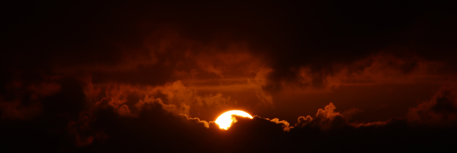 header profile