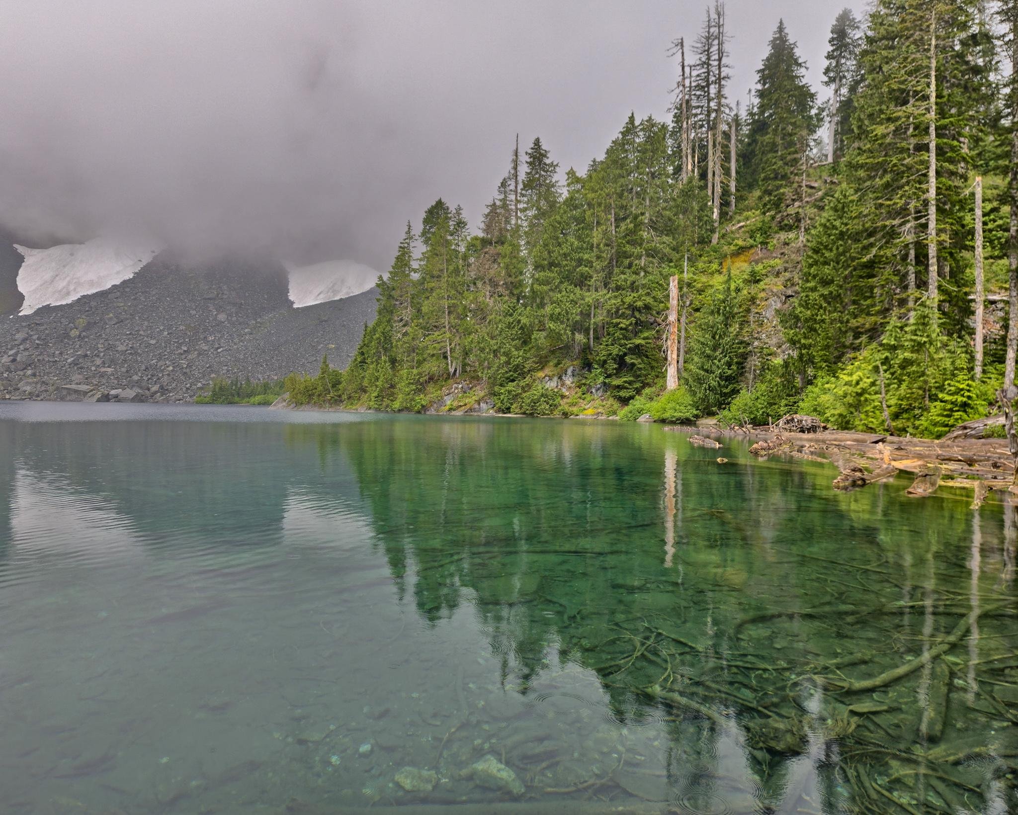 Clear turquoise lake with visible submerged logs and stones in the foreground, reflecting a dense conifer forest along the right shoreline; misty gray clouds cover a rocky mountainside with snow patches in the background.