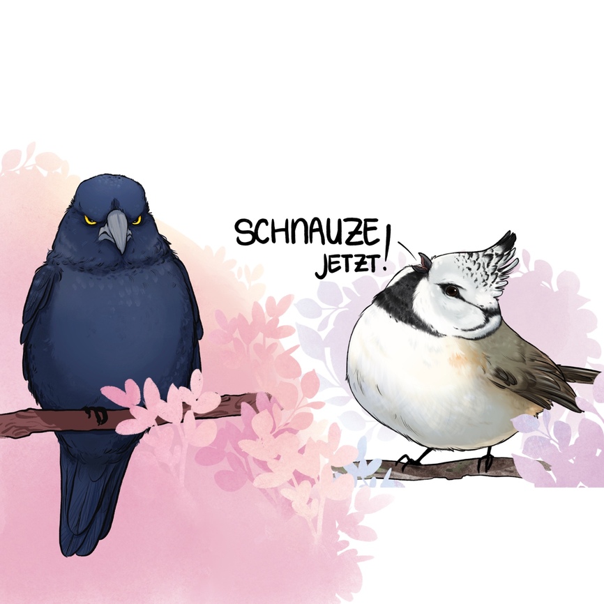 header profile