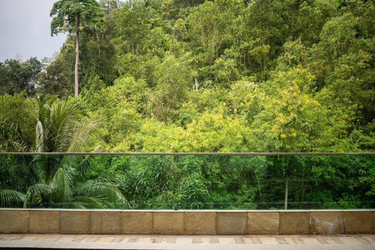 Dense green forest with varied trees and foliage fills the background. A glass railing runs horizontally in the foreground above a stone ledge, separating the forest from an open space. The sky is partially visible, casting even lighting across the scene.
