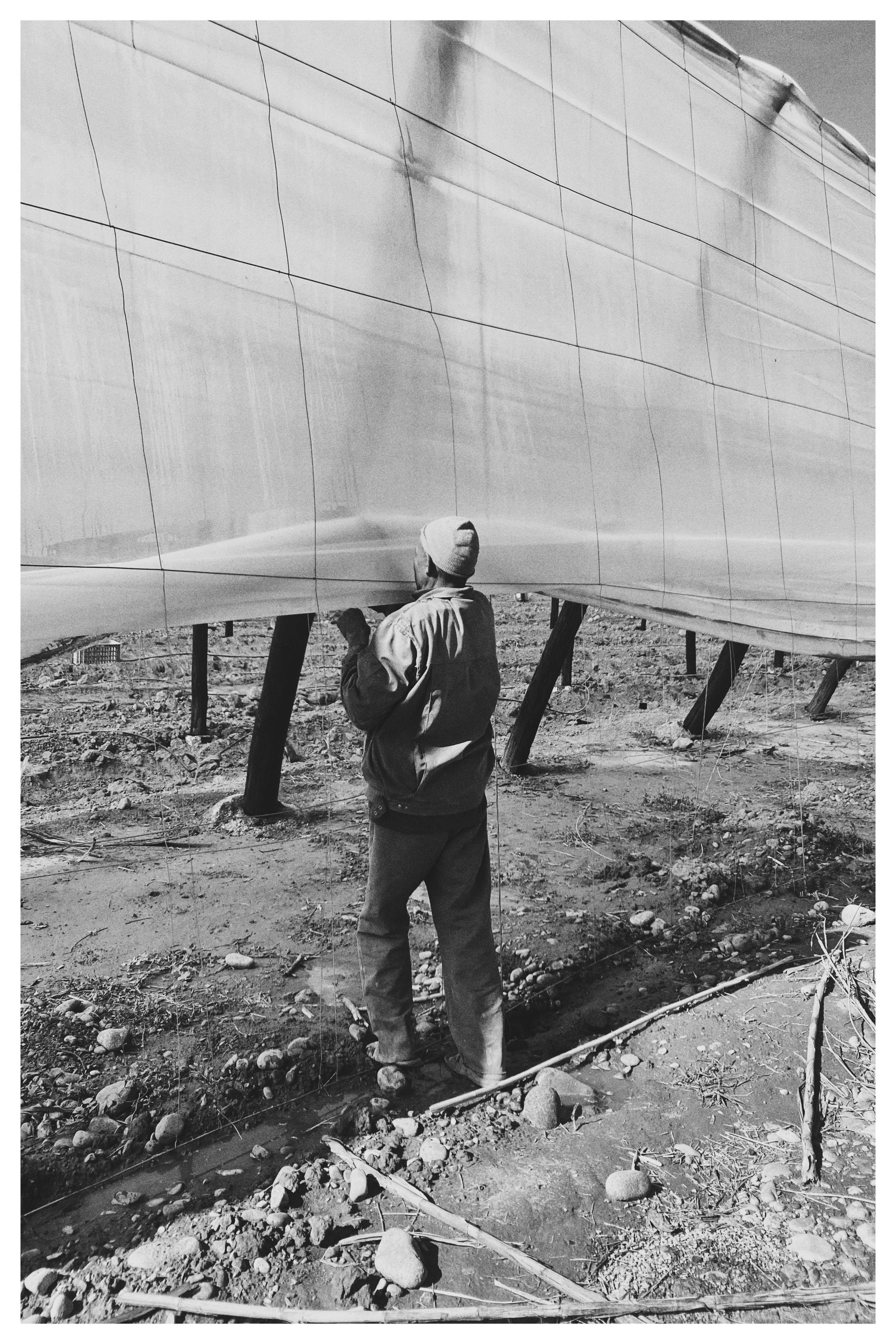 A person wearing a cap and jacket stands on rough, rocky terrain, holding up the edge of a large, translucent sheet suspended above the ground. The sheet is supported by several angled poles, and its surface is divided into rectangles by visible lines. Shadows on the sheet create an abstract pattern.