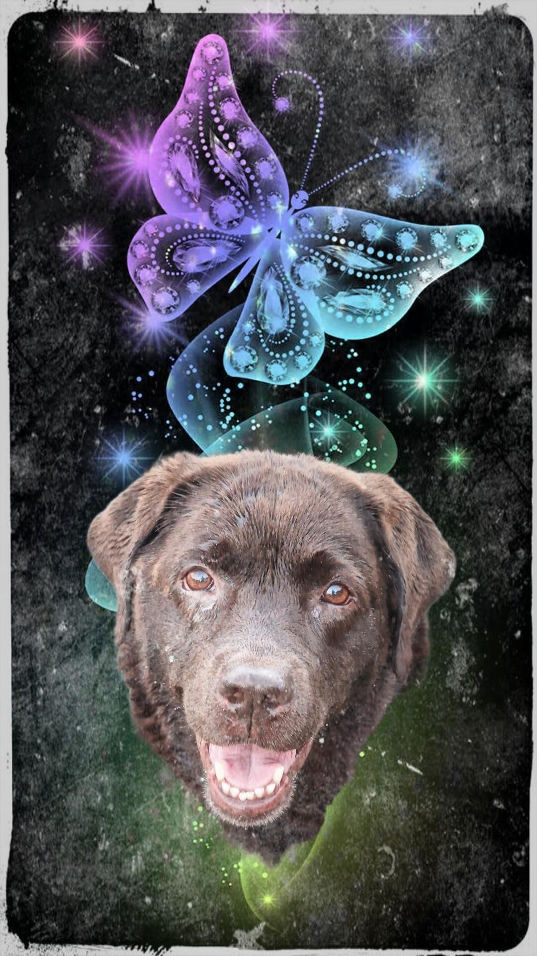 A softly edited, emotional artwork featuring Arwen’s joyful face centered against a textured black-grey background. Her expression is warm and bright, mouth slightly open in a happy smile, eyes full of the gentle, loving spark that made her so special. Above her floats a luminous, magical butterfly illustrated in shimmering shades of purple, lavender, and icy blue. Its wings are decorated with delicate gemstone-like patterns and tiny dots of light, giving it an ethereal, almost guardian-like presence. Around both Arwen and the butterfly, soft glows of green, blue, and violet sparkle like drifting stardust, creating a peaceful and dreamy atmosphere. The image feels like a quiet moment of connection between earth and something beyond, capturing the tenderness, magic, and everlasting love Arwen brought into the world.