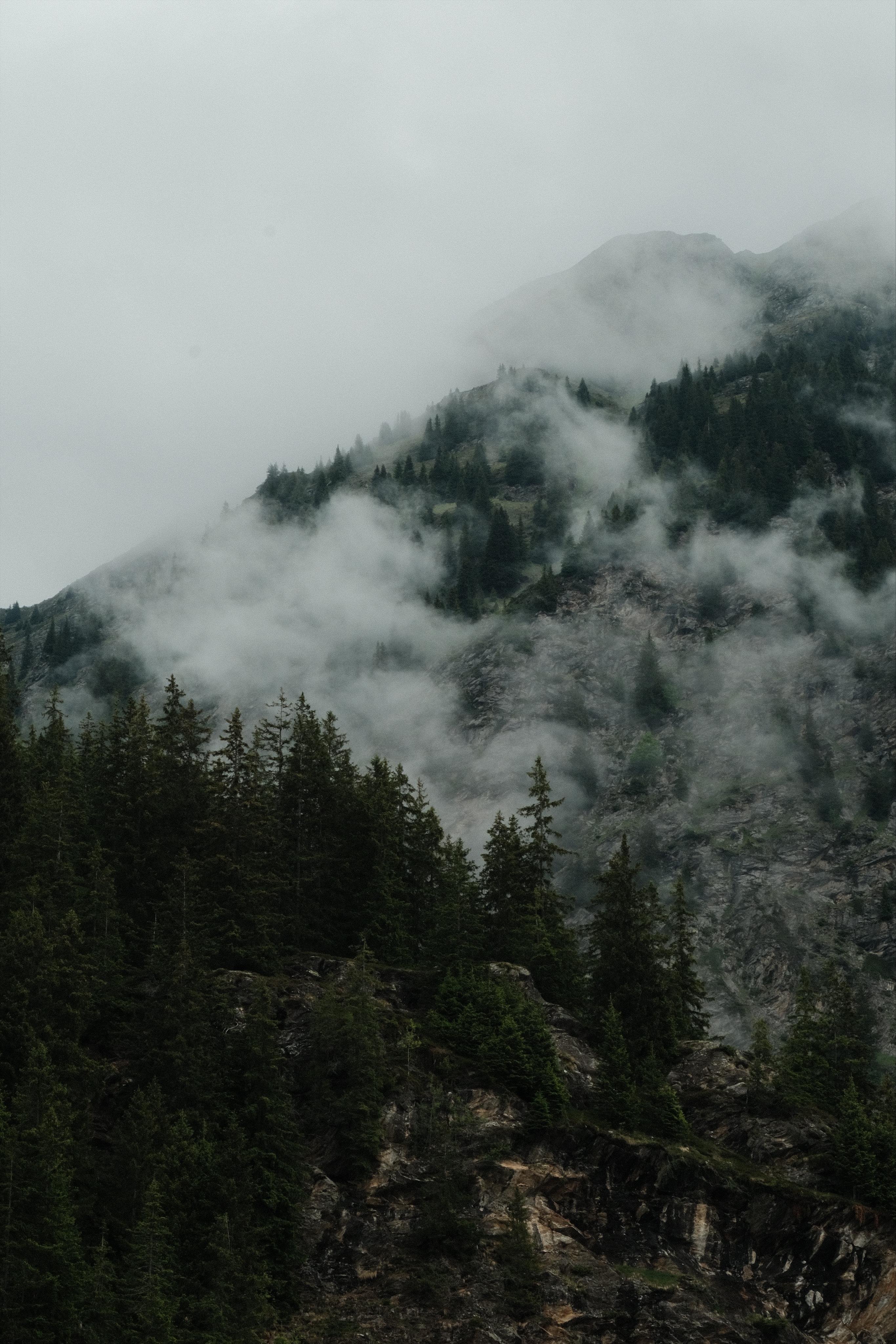 A misty mountain scene with fog drifting across forested mountain slopes with dark evergreen trees and rocks beneath an cloudy gray sky.