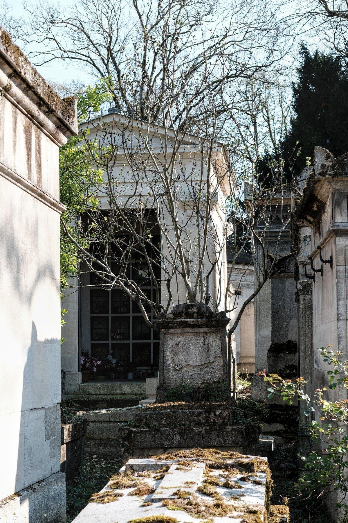 Photo verticale. Une tombe et sa stèle. Un arbre sans feuille pousse juste derrière la stèle