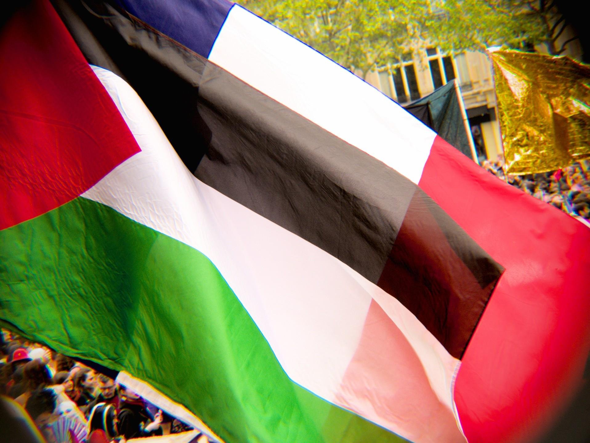 L'image montre au premier plan et sur la quasi-totalité de l'image un drapeau Palestinien devant un drapeau Français. En arrière-plan, on aperçoit une foule ainsi qu'un drapeau doré.